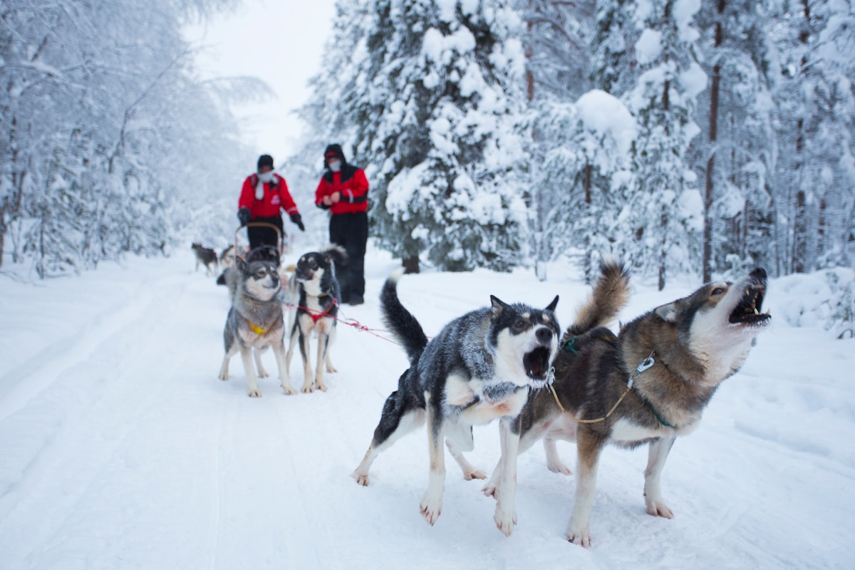 Arctic Circle Adventure in Rovaniemi, Finland — Santa Claus Village