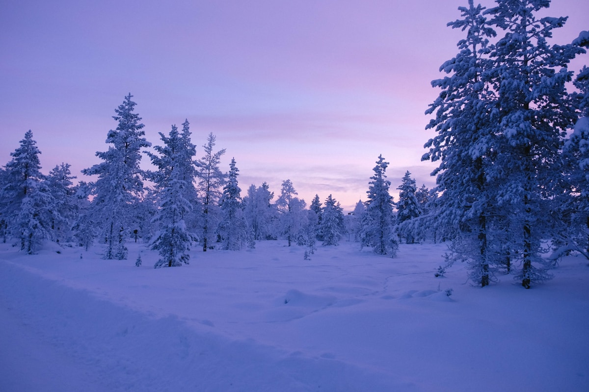 Arctic Circle Adventure in Rovaniemi, Finland — photo 2