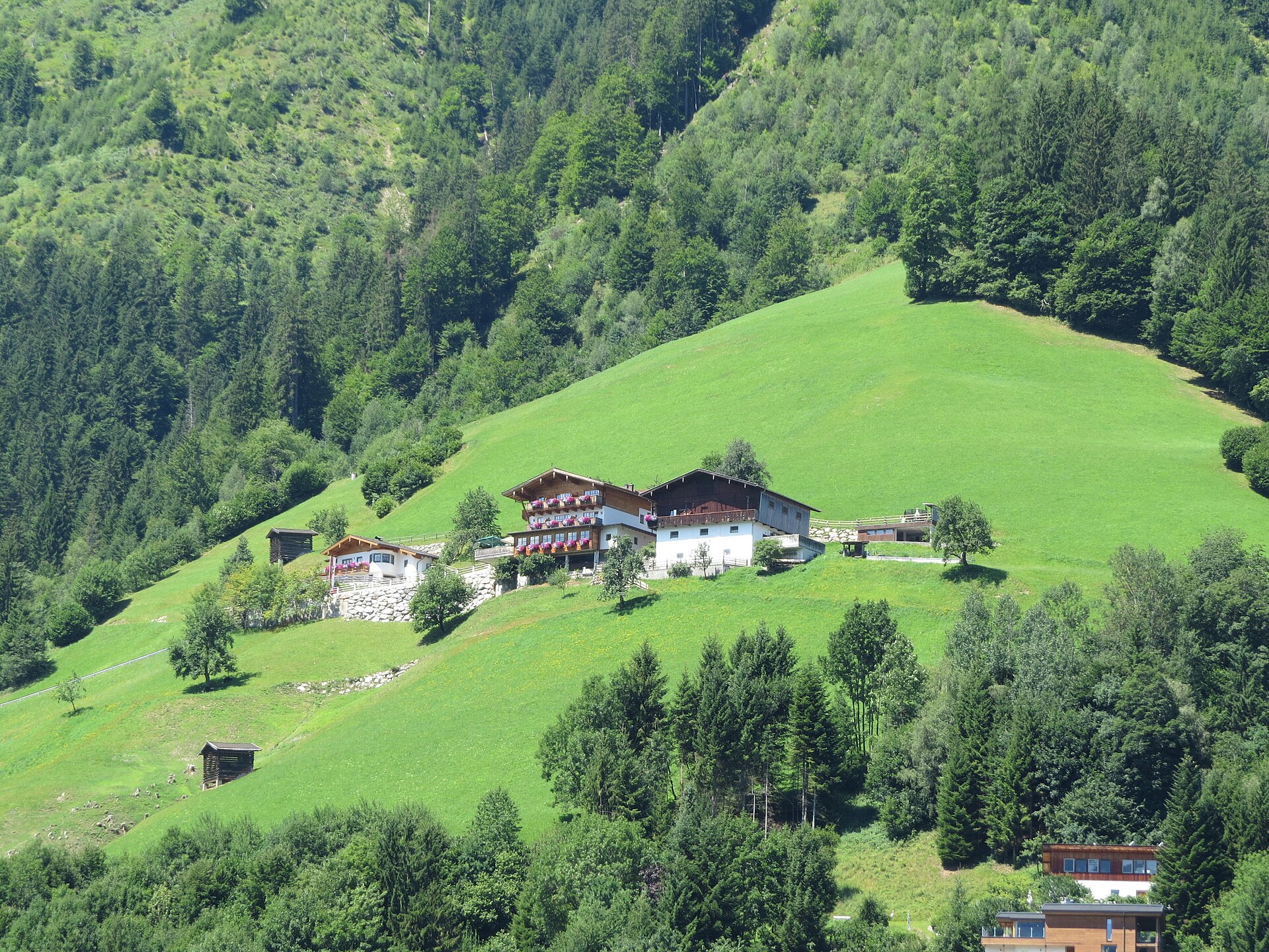 Grossglockner Alpine Road Trip — photo 3