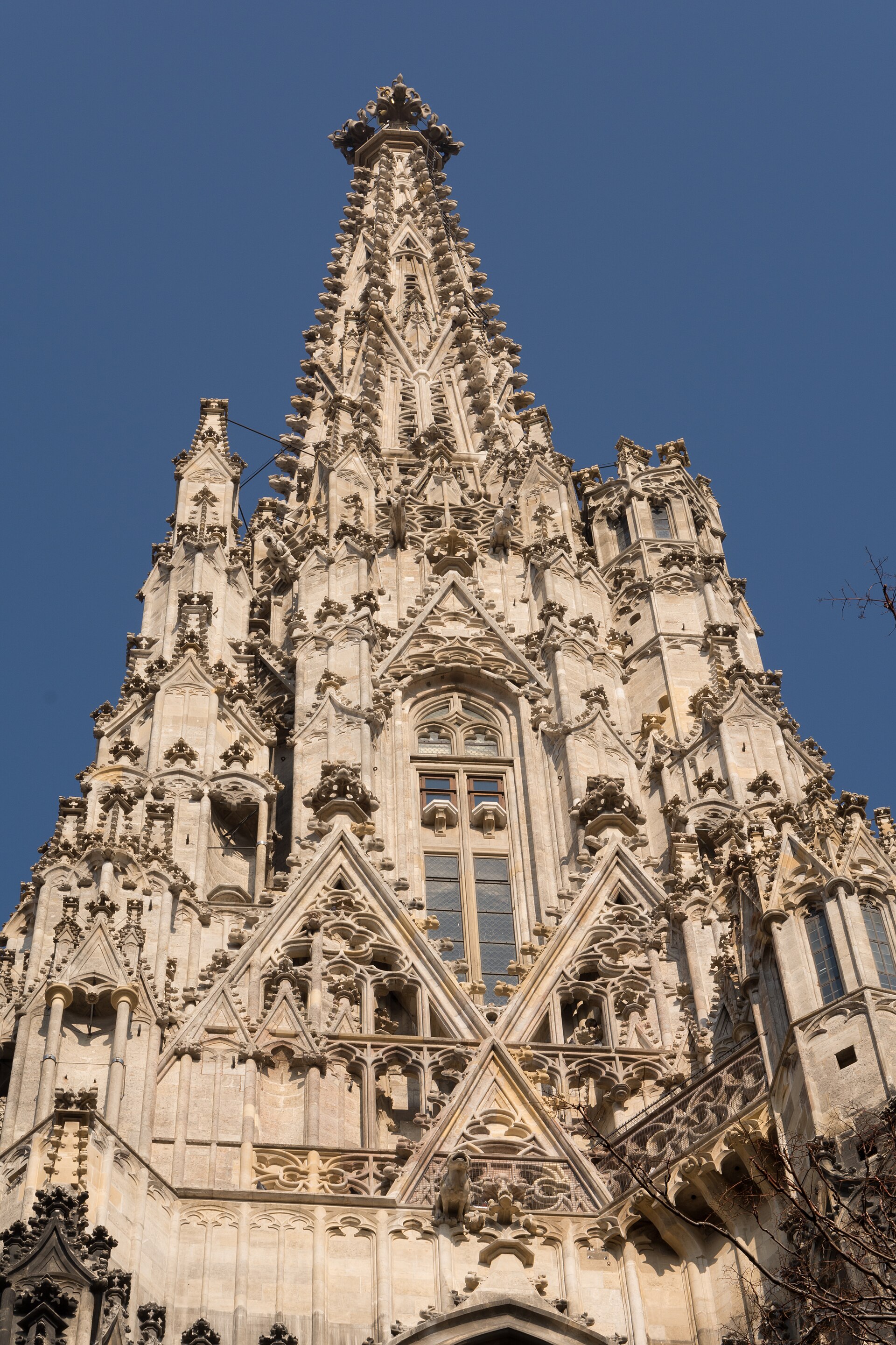 Vienna — Imperial Joy & Nights — photo 5