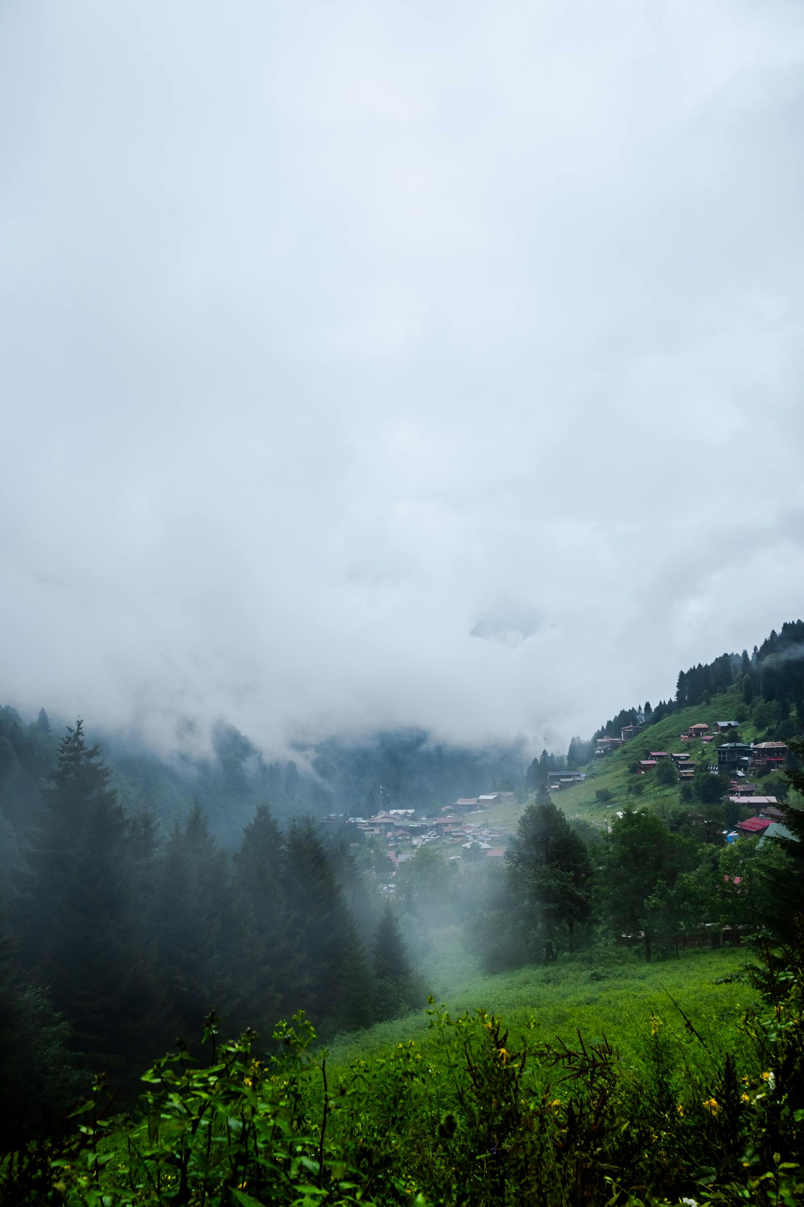 Ayder + Hemşin — Eastern Black Sea Highland Road — Ayder Yaylası (thermal spa)