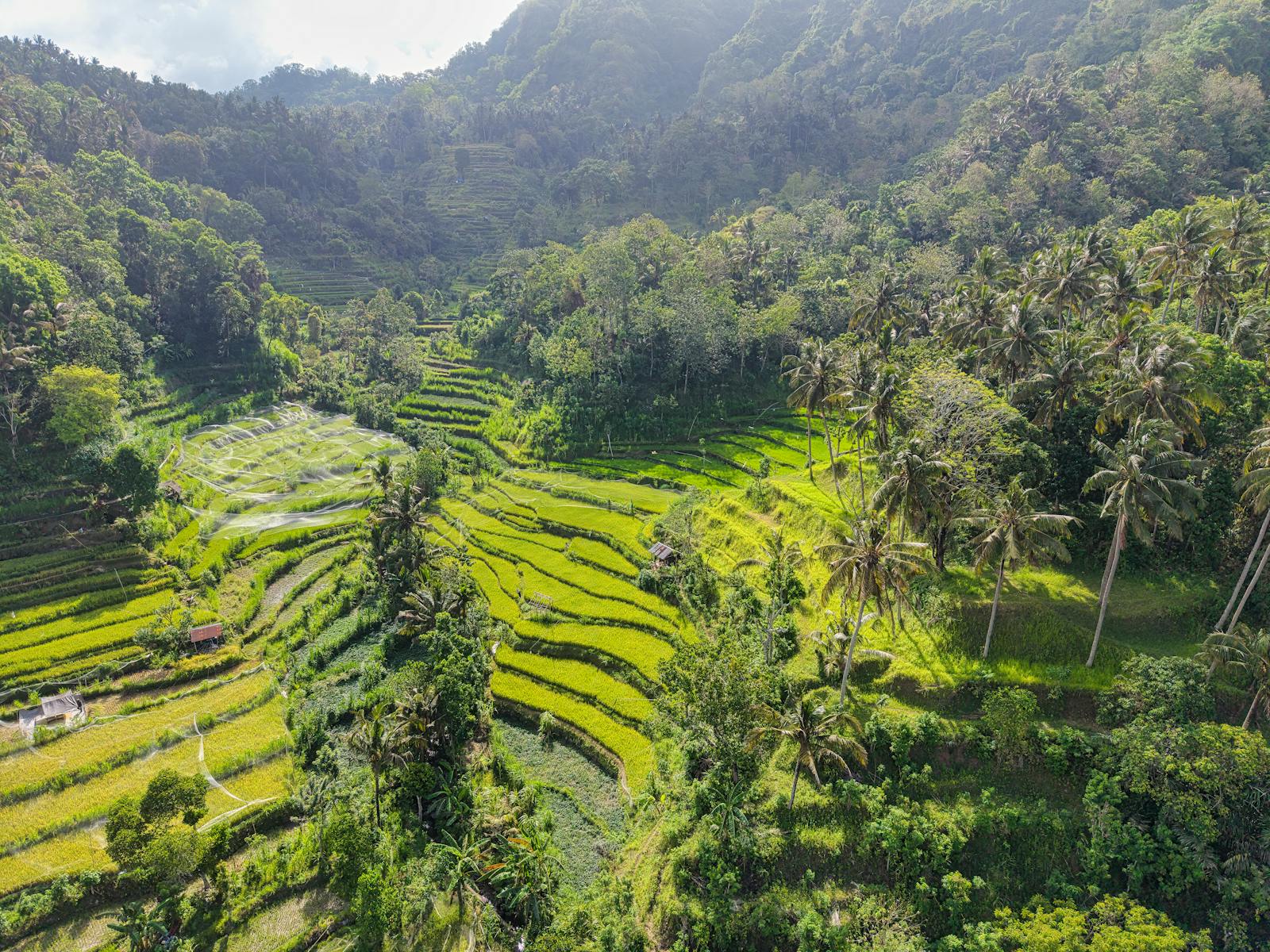 Bali — Ubud Rice Terraces, Uluwatu Cliffs — photo 3