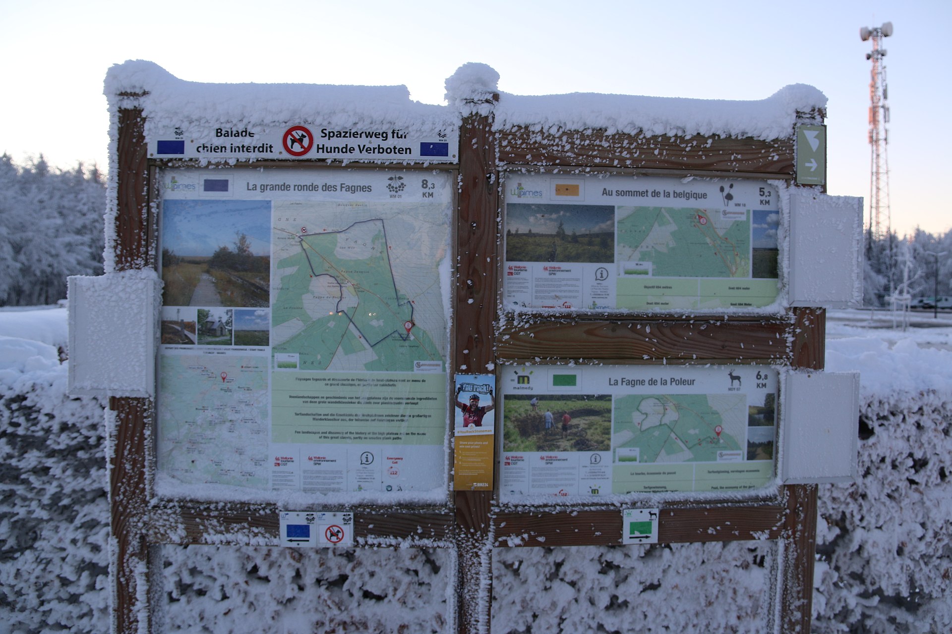 Hautes Fagnes Stillness Retreat — photo 4