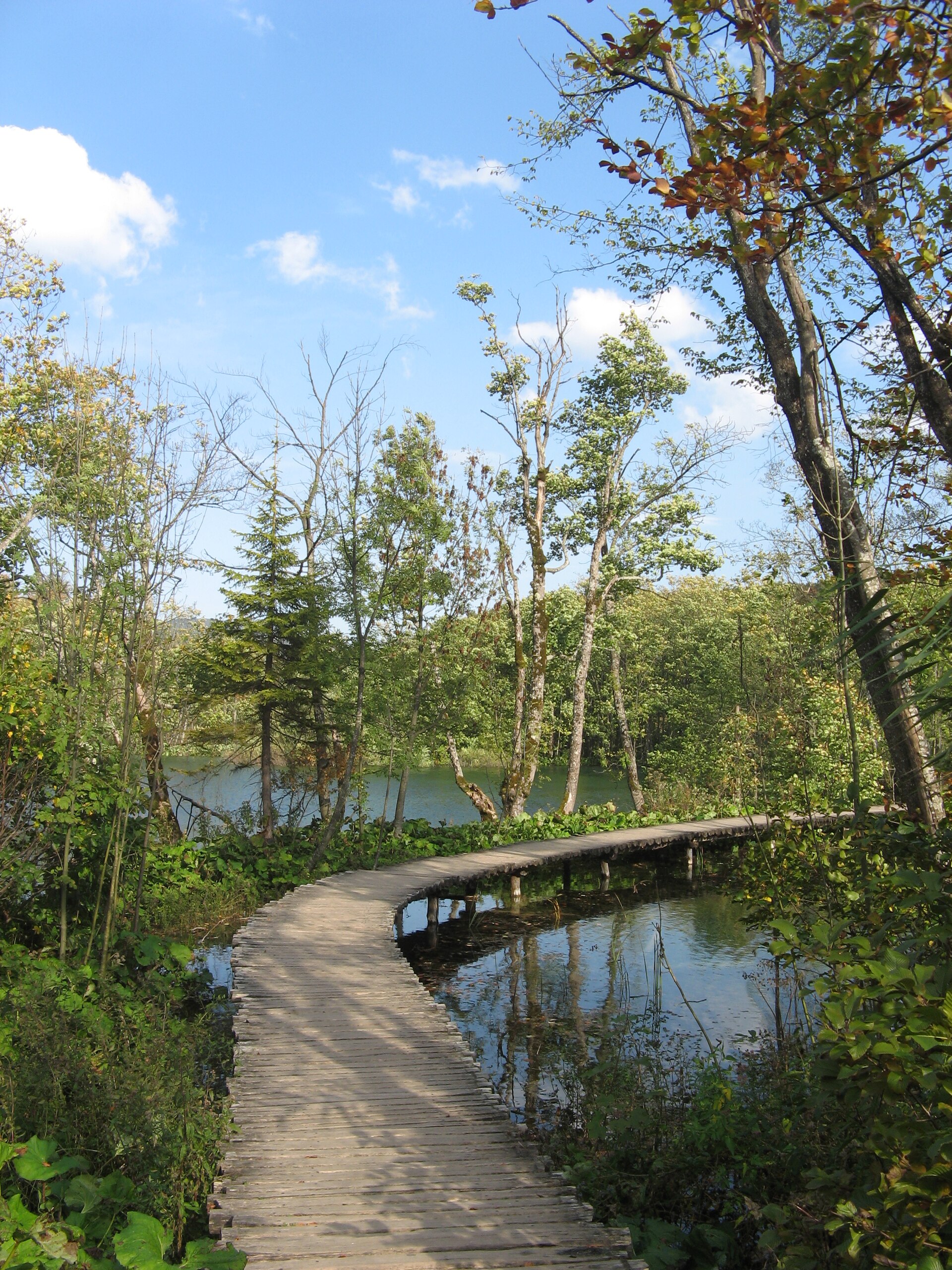 Plitvice Lakes: Terraced Waterfalls — photo 4