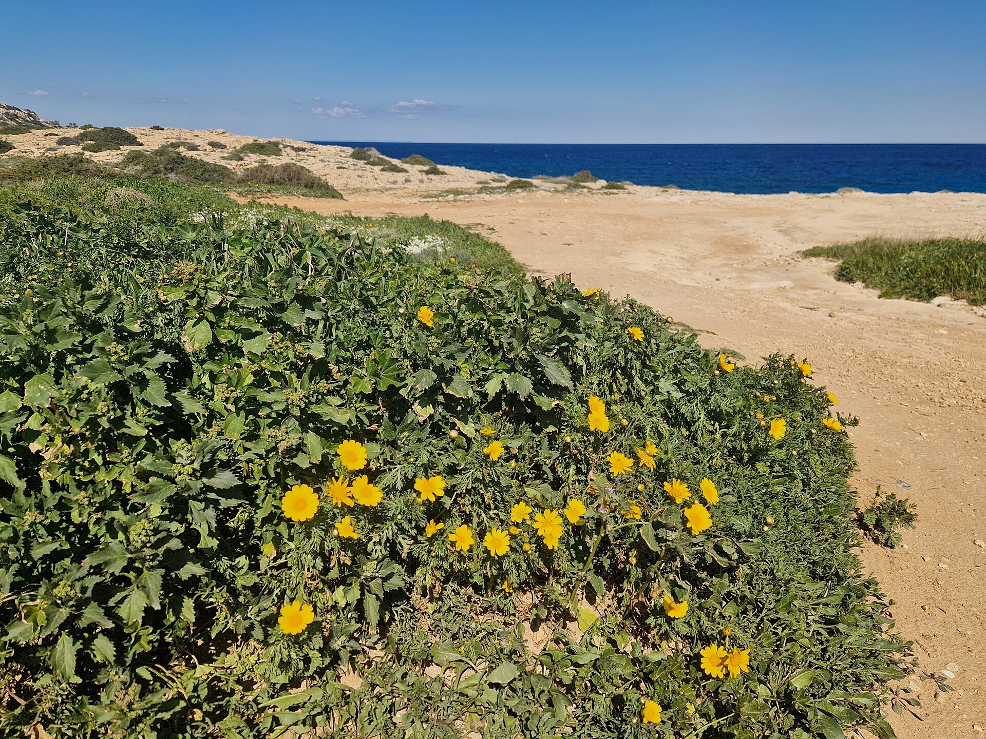 Akamas Peninsula Serenity Escape — photo 4