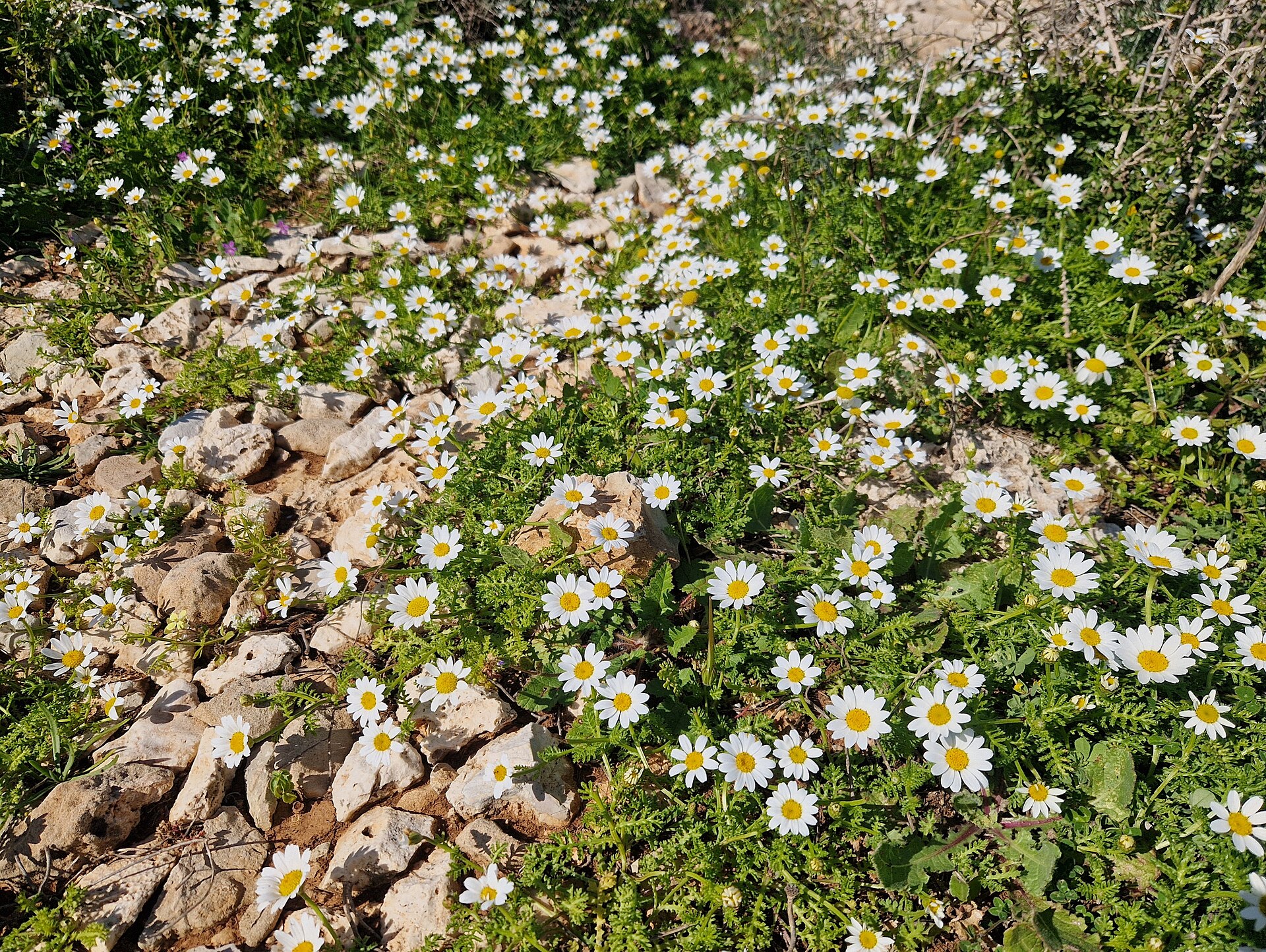 Akamas Peninsula Serenity Escape — photo 5