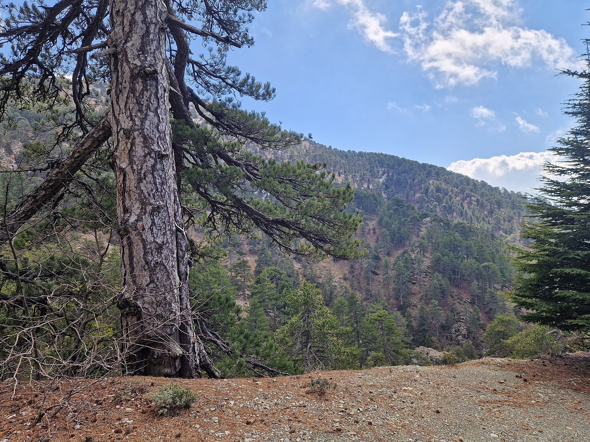 Troodos Mountains & Painted Churches — Mount Olympus