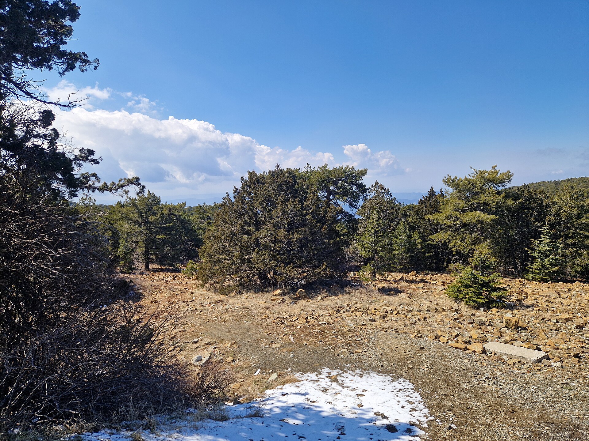 Troodos Mountains & Painted Churches — photo 2