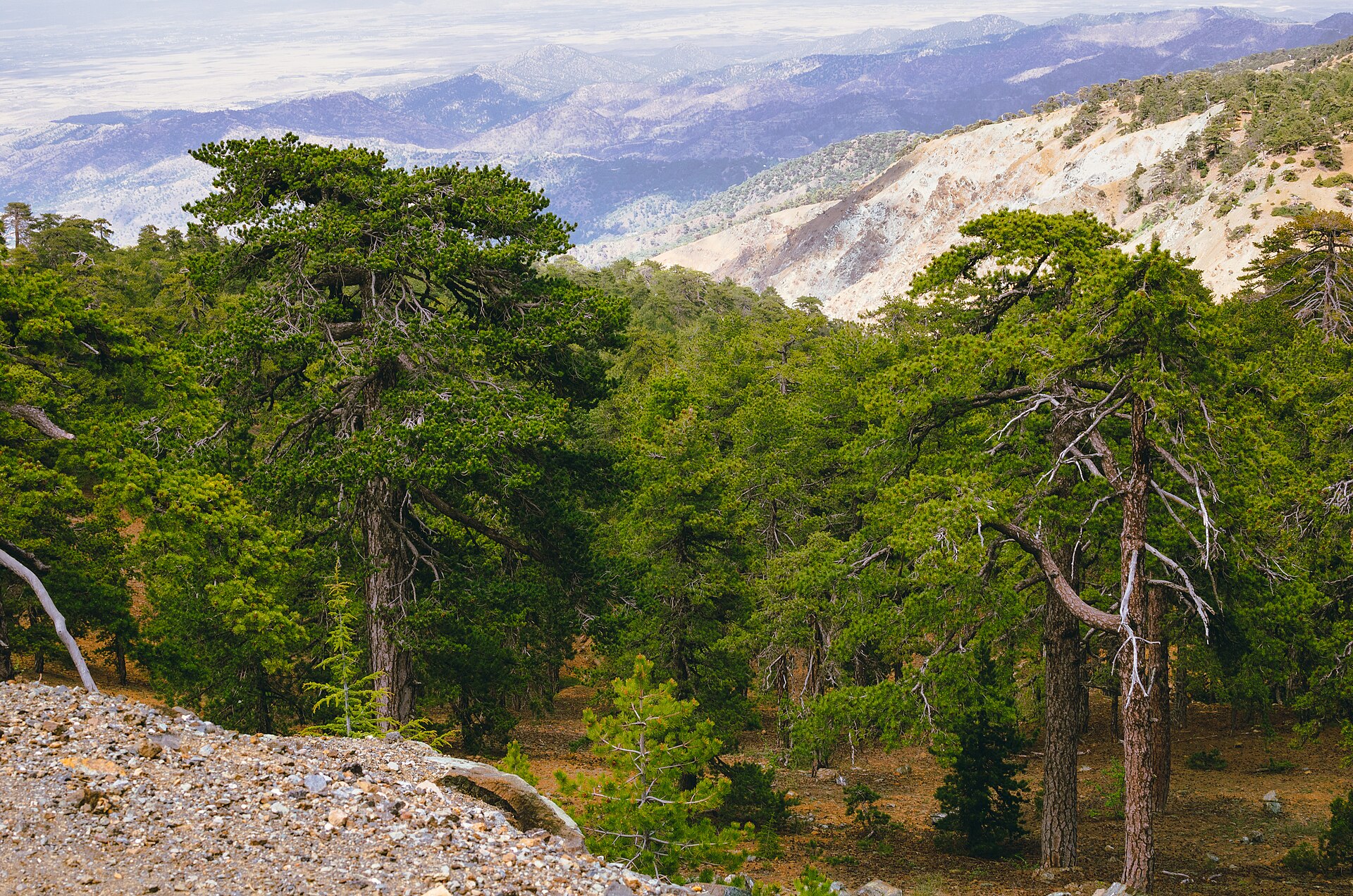 Troodos Mountains & Painted Churches — photo 5