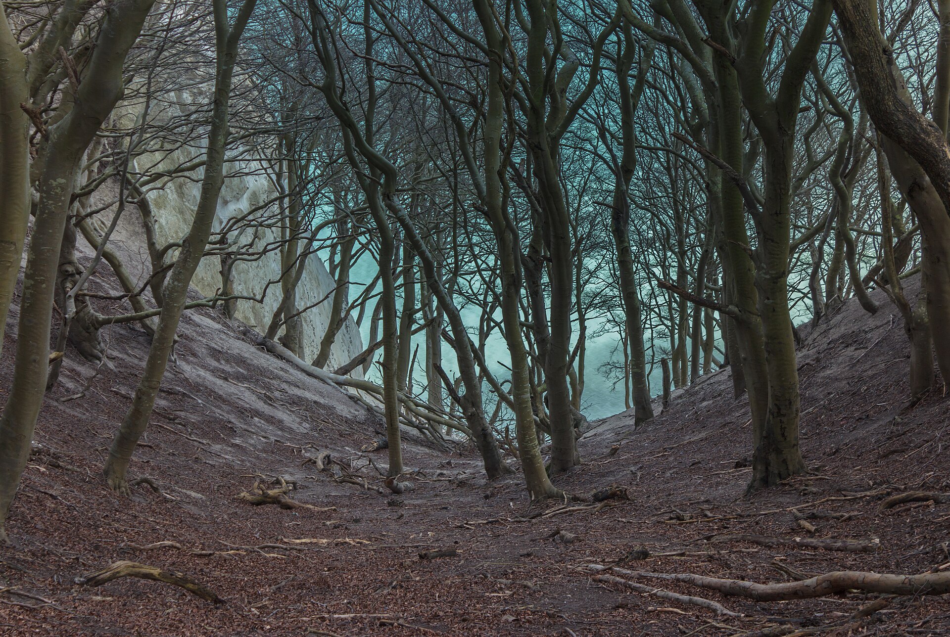Møns Klint: Chalk Cliffs & Dark Skies — Møns Klint