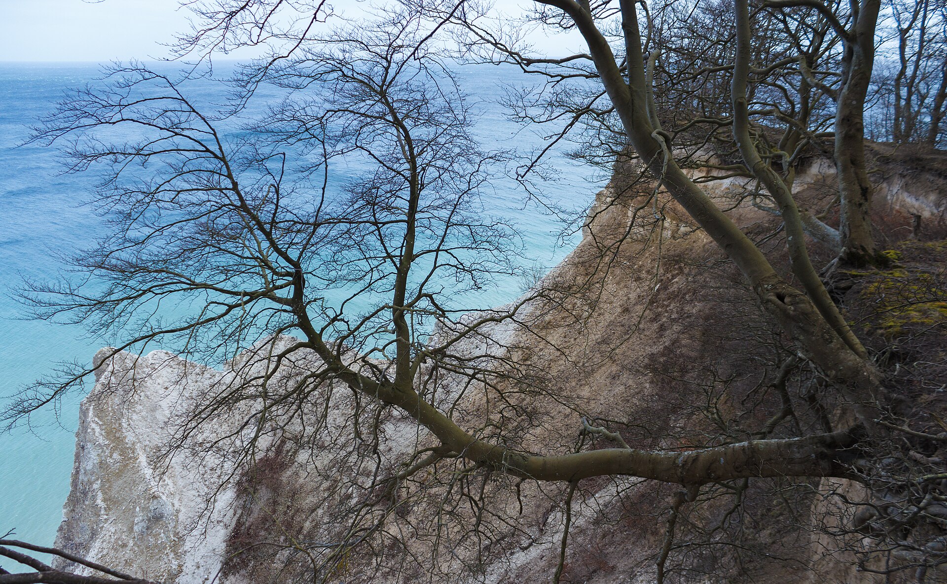 Møns Klint: Chalk Cliffs & Dark Skies — photo 3