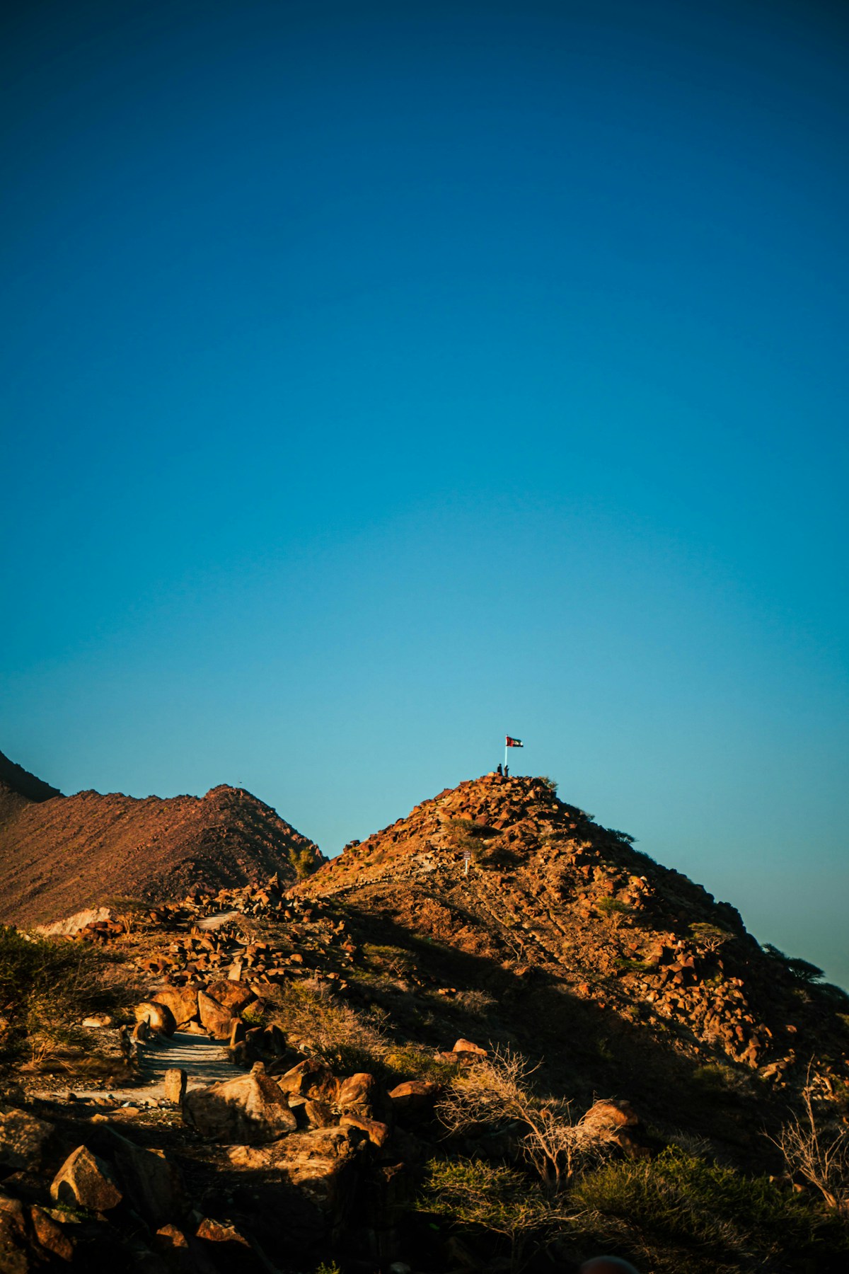 UAE Diving Adventure — Fujairah and the Arabian Sea — photo 3