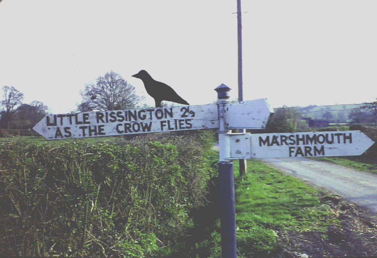 Cotswolds Villages & Slow Local Living — Bourton-on-the-Water