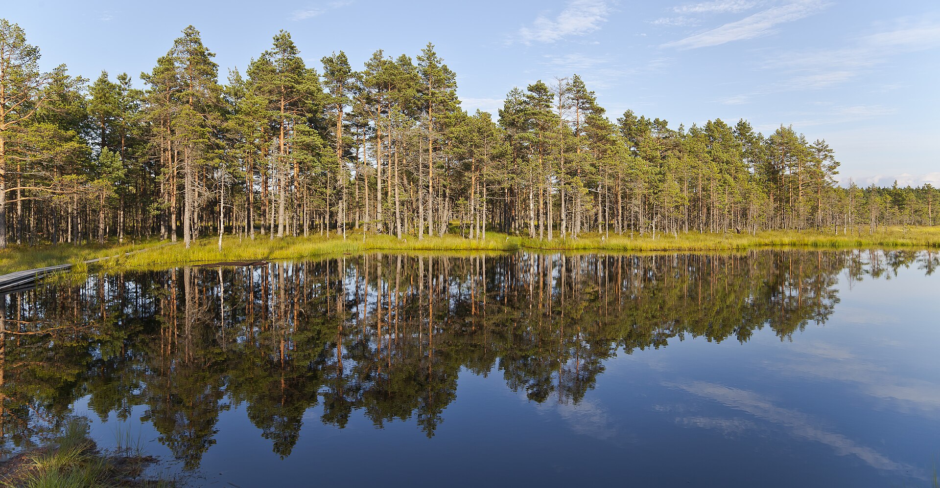 Lahemaa Forest & Manor Spa Retreat — Lahemaa National Park