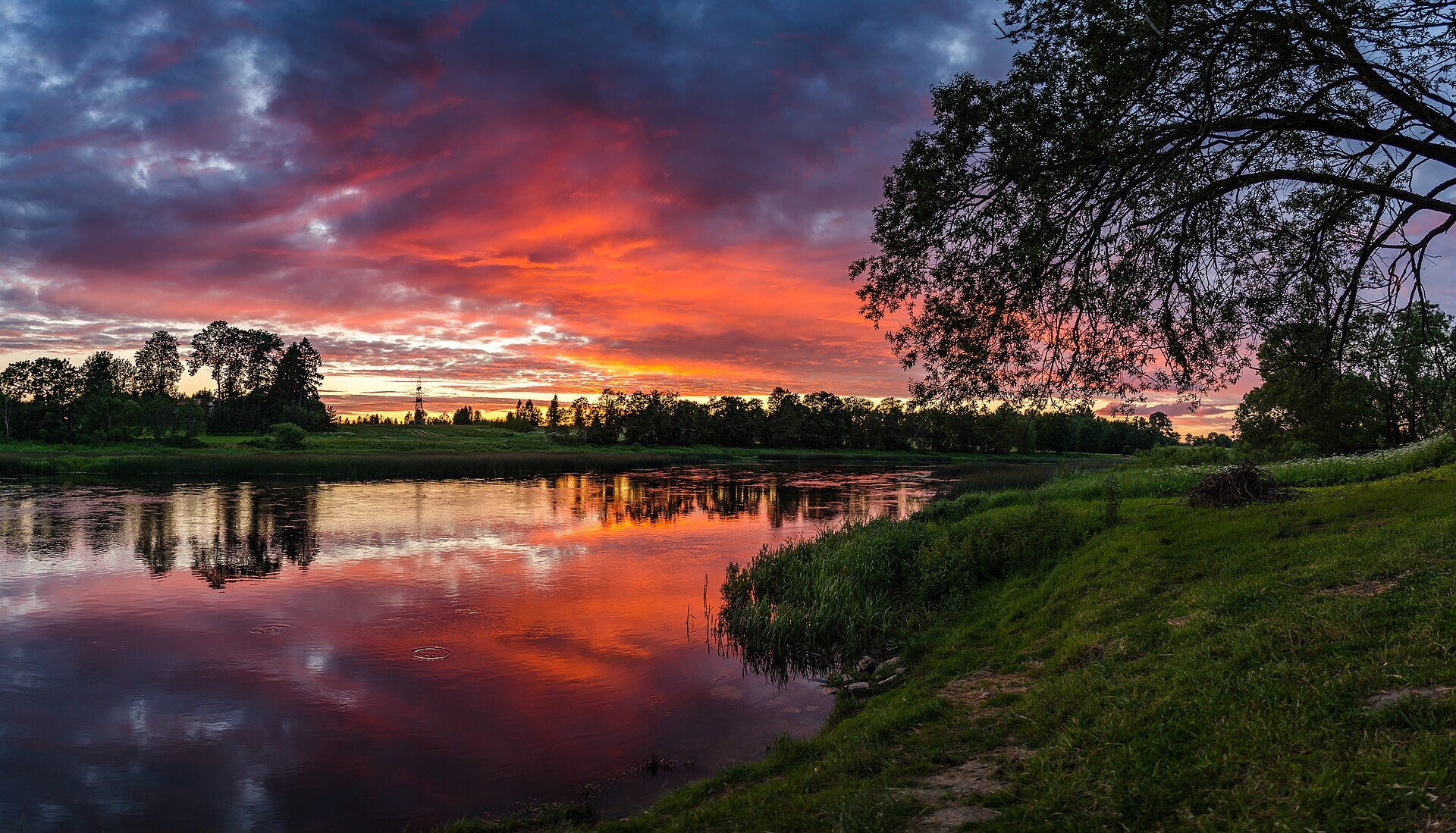 Pärnu Coast to Saaremaa Island Roadtrip — photo 3