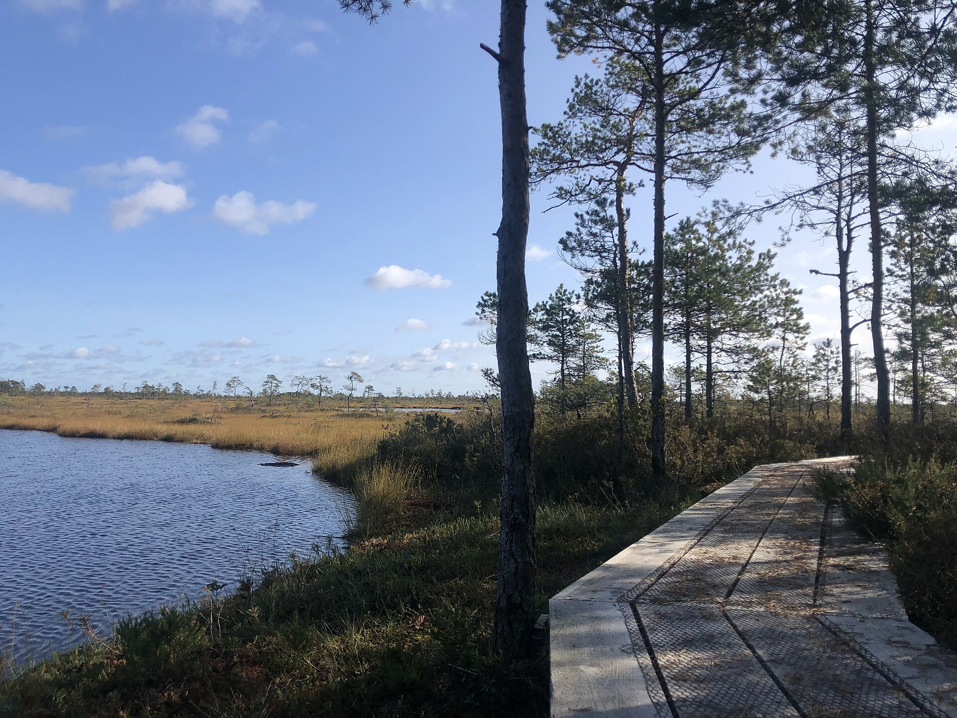 Soomaa Bog & Fifth-Season Surprise — photo 4