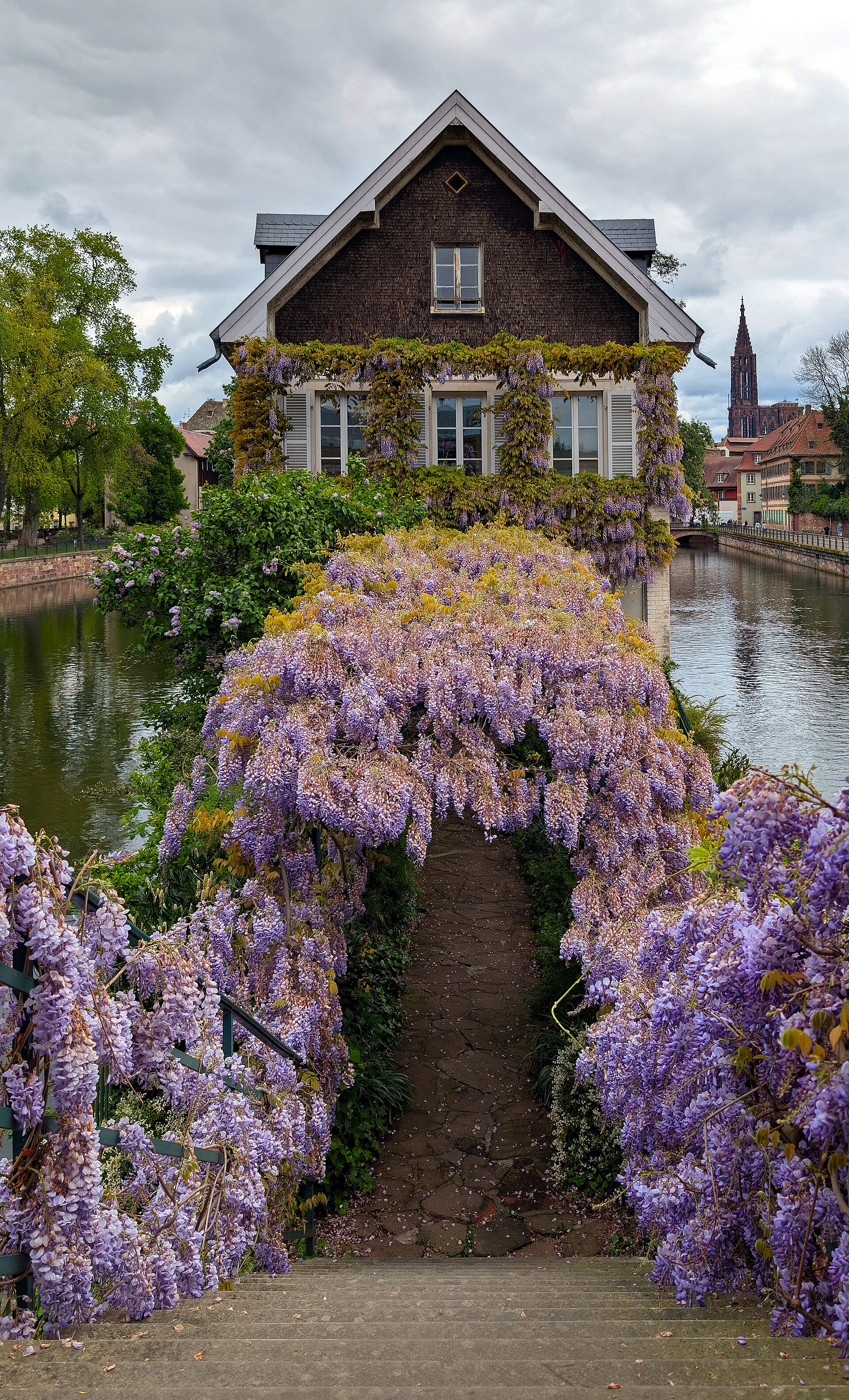 Strasbourg & Alsace Wine Villages — Strasbourg