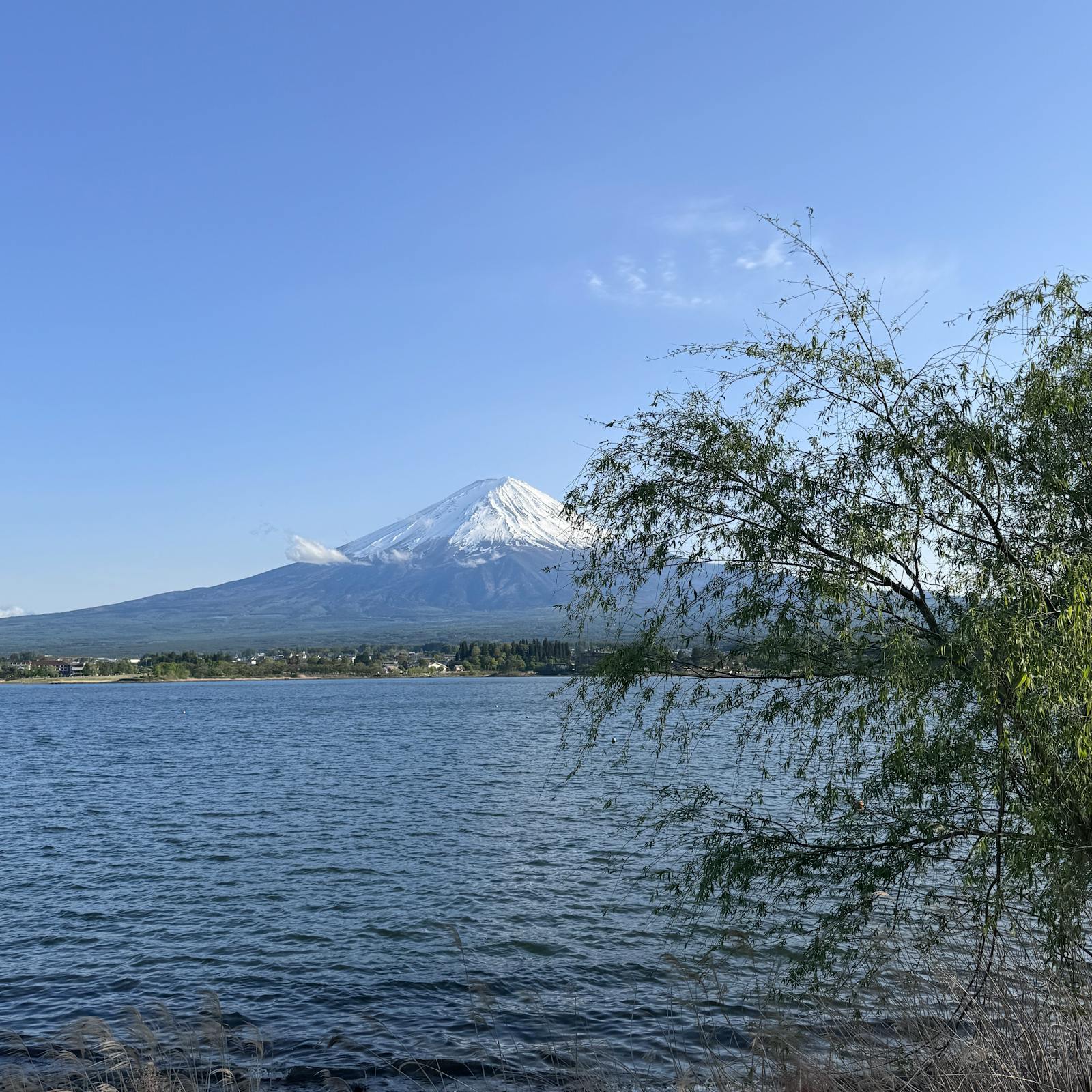 Hakone & Mt. Fuji — Onsen Slow Days — photo 2