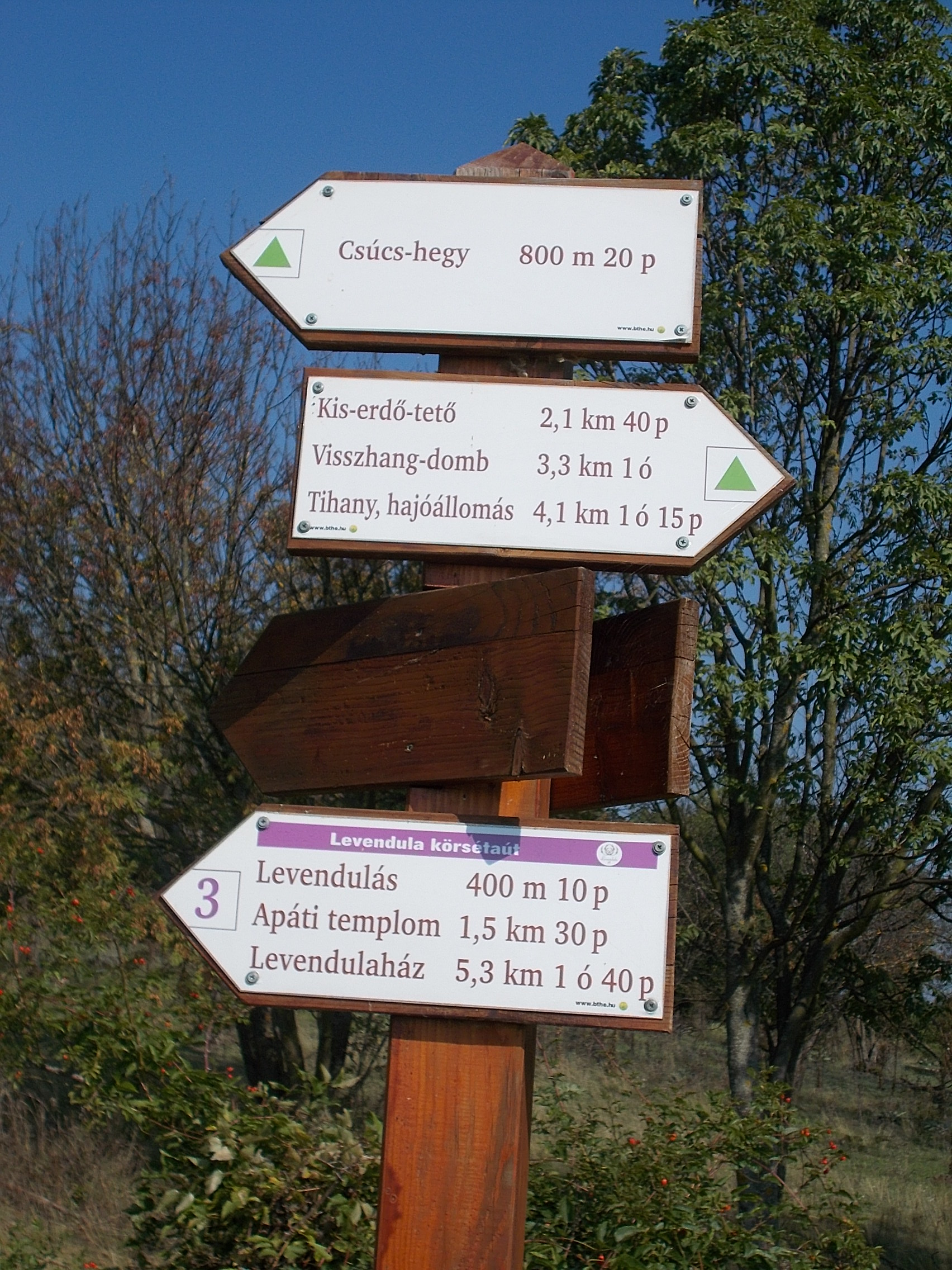 Lake Balaton Open-Road Escape — photo 2
