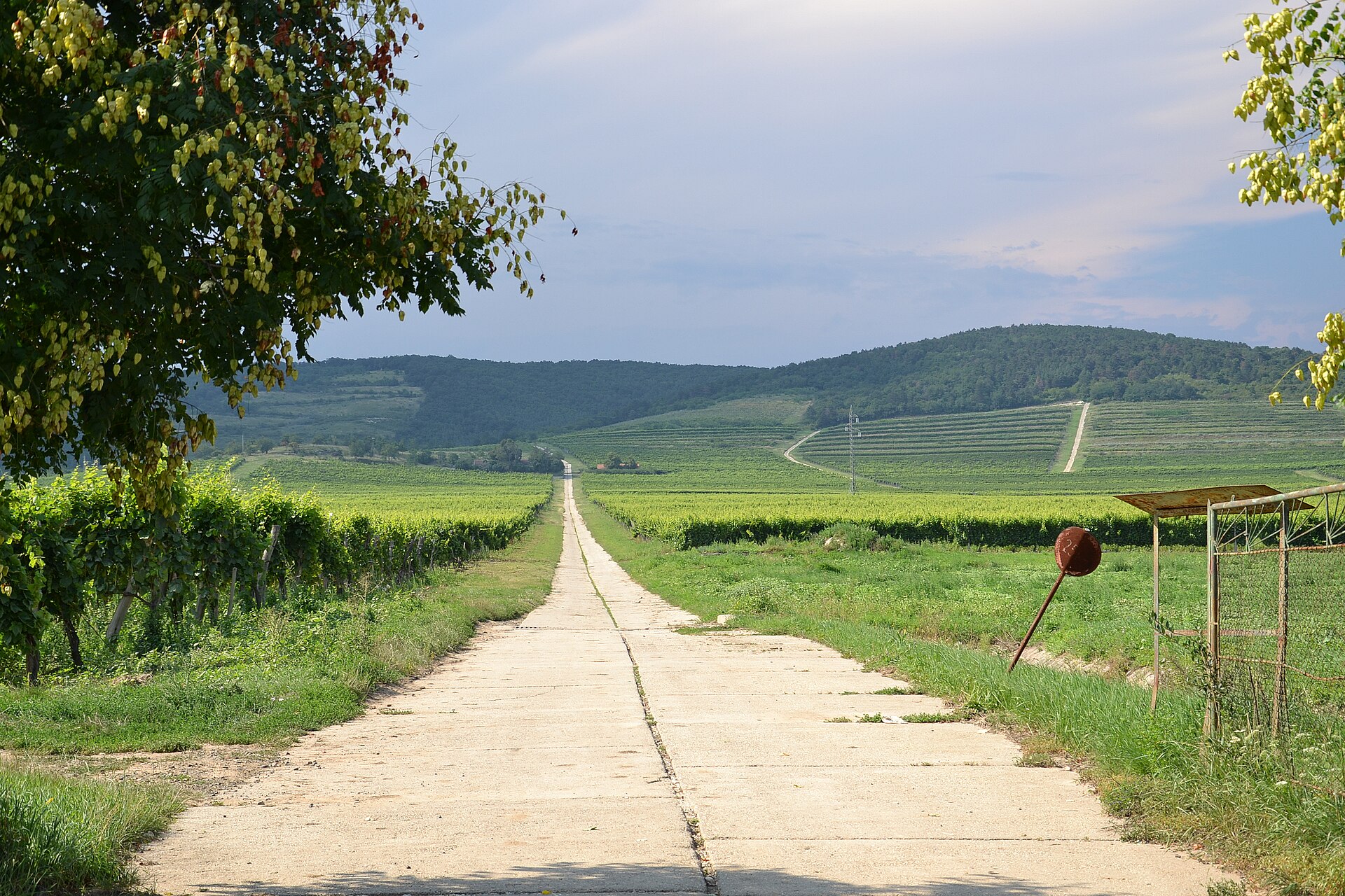 Tokaj Wine Country Serenity — Tokaj