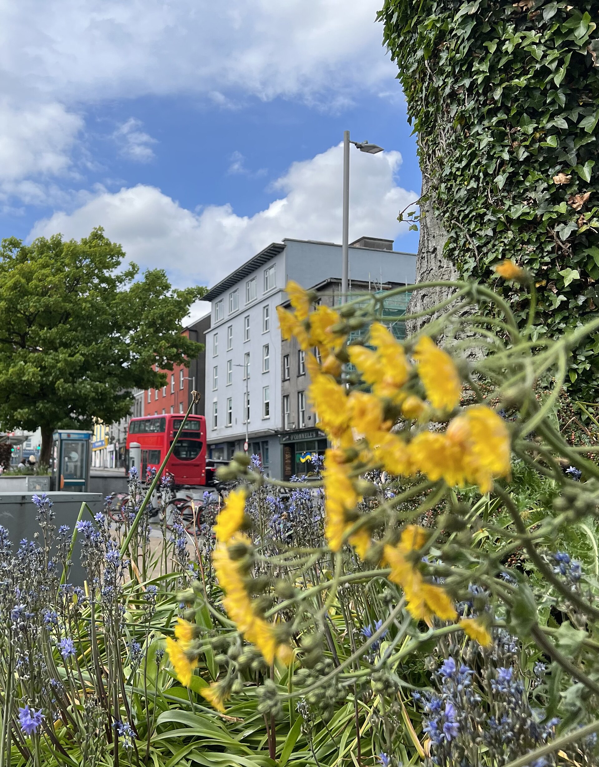Galway Festival City Weekend — photo 4