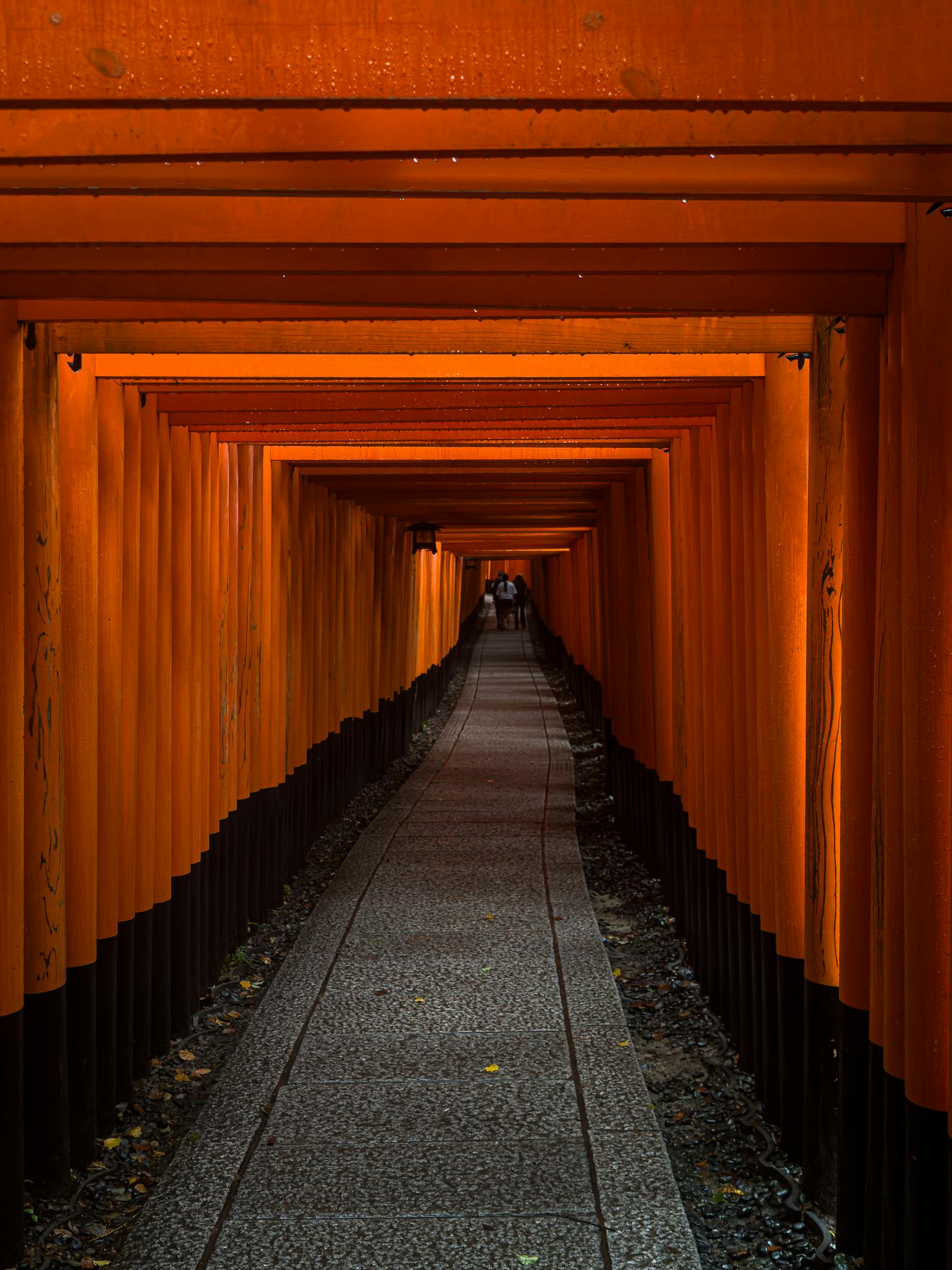 Kyoto Temples & Gion — Three-Day Slow Pilgrim — Fushimi Inari-taisha