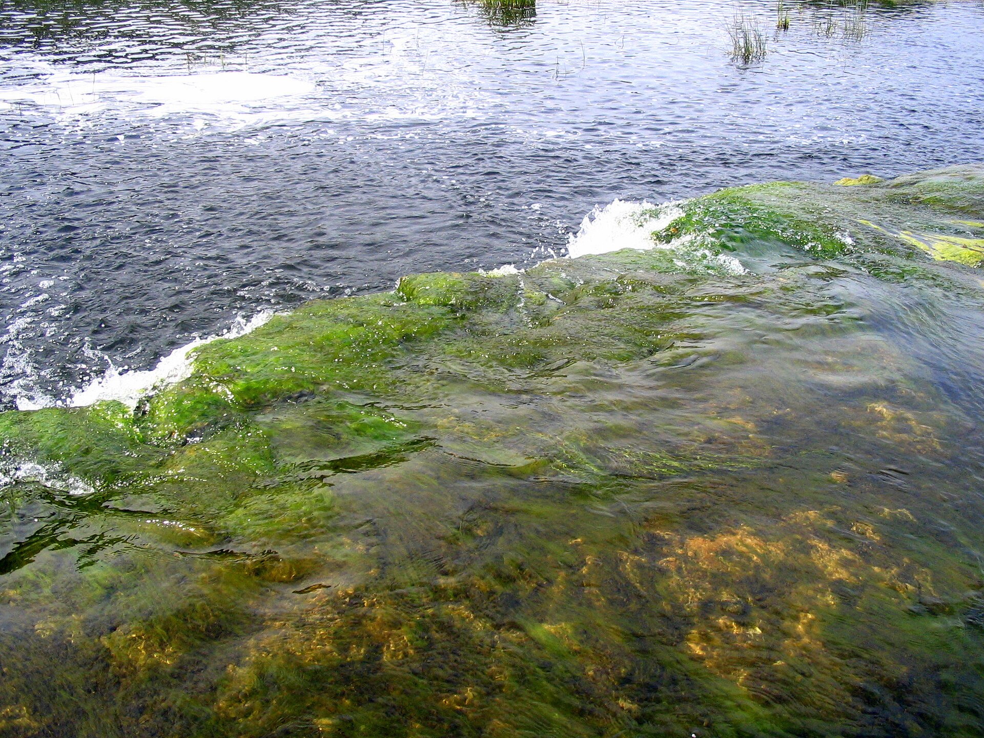 Kuldīga & the Ventas Rumba Falls — photo 2