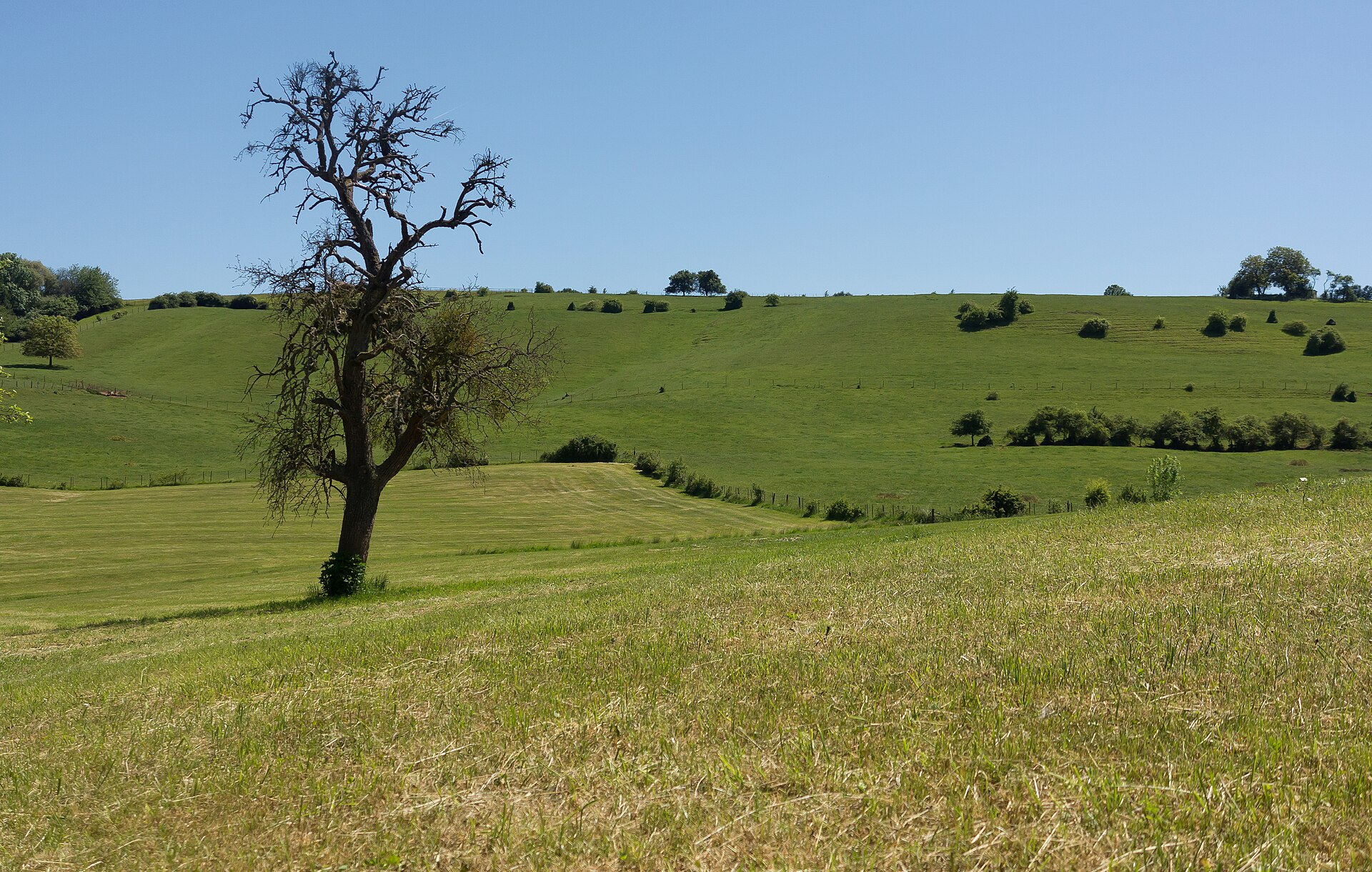 Moselle Wine Route Roadtrip — photo 2