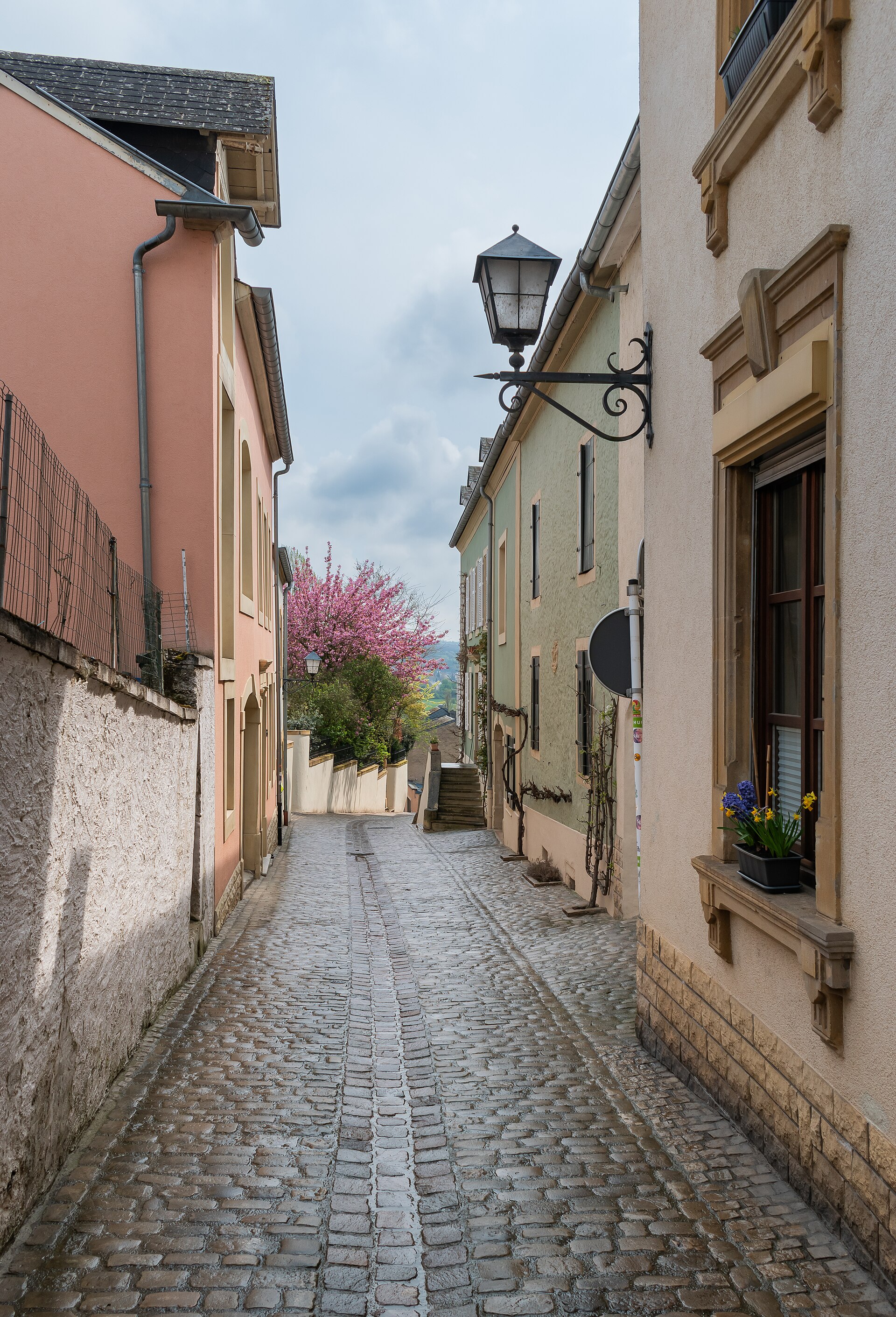 Moselle Wine Route Roadtrip — photo 3