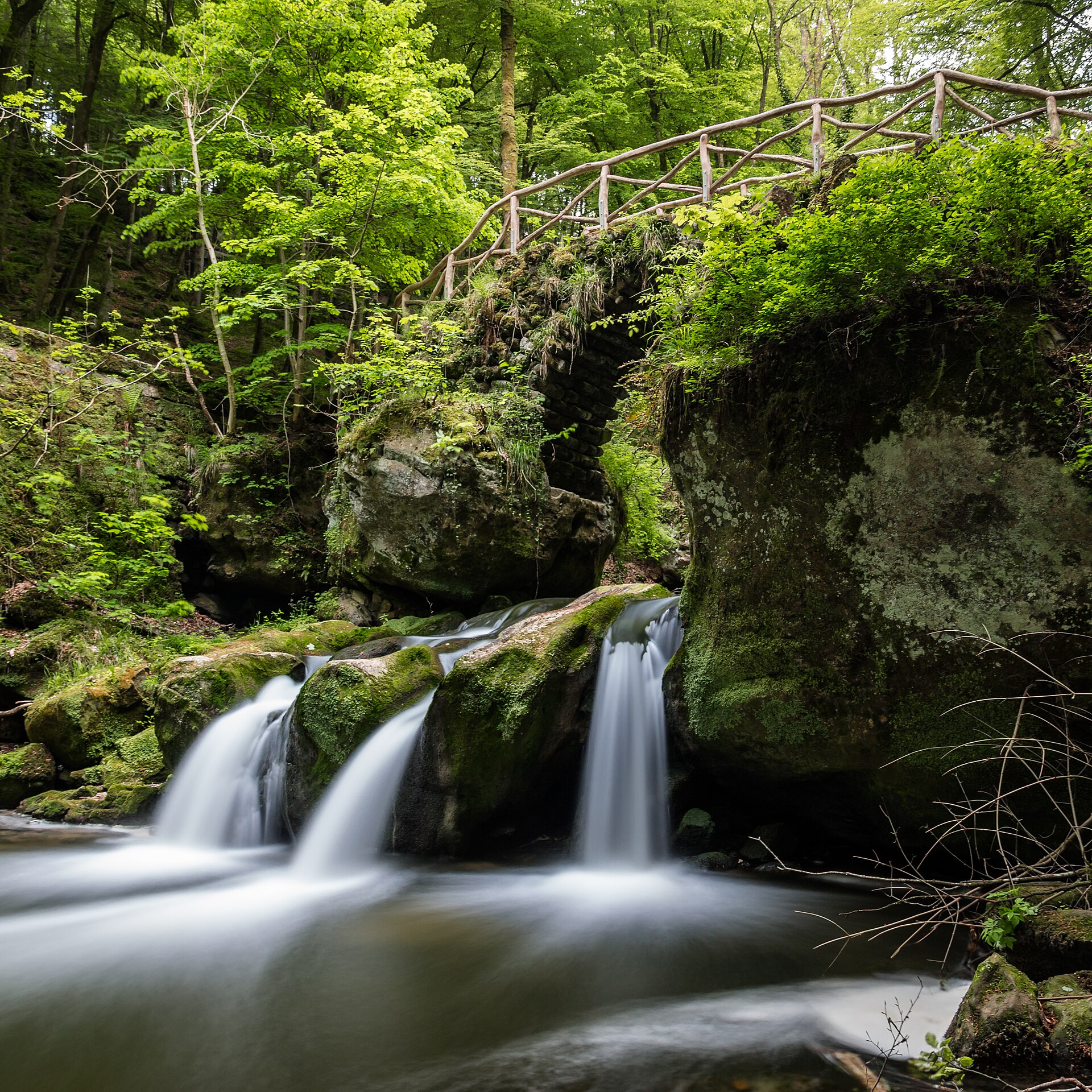 Mullerthal Little Switzerland Rock Trails — photo 3