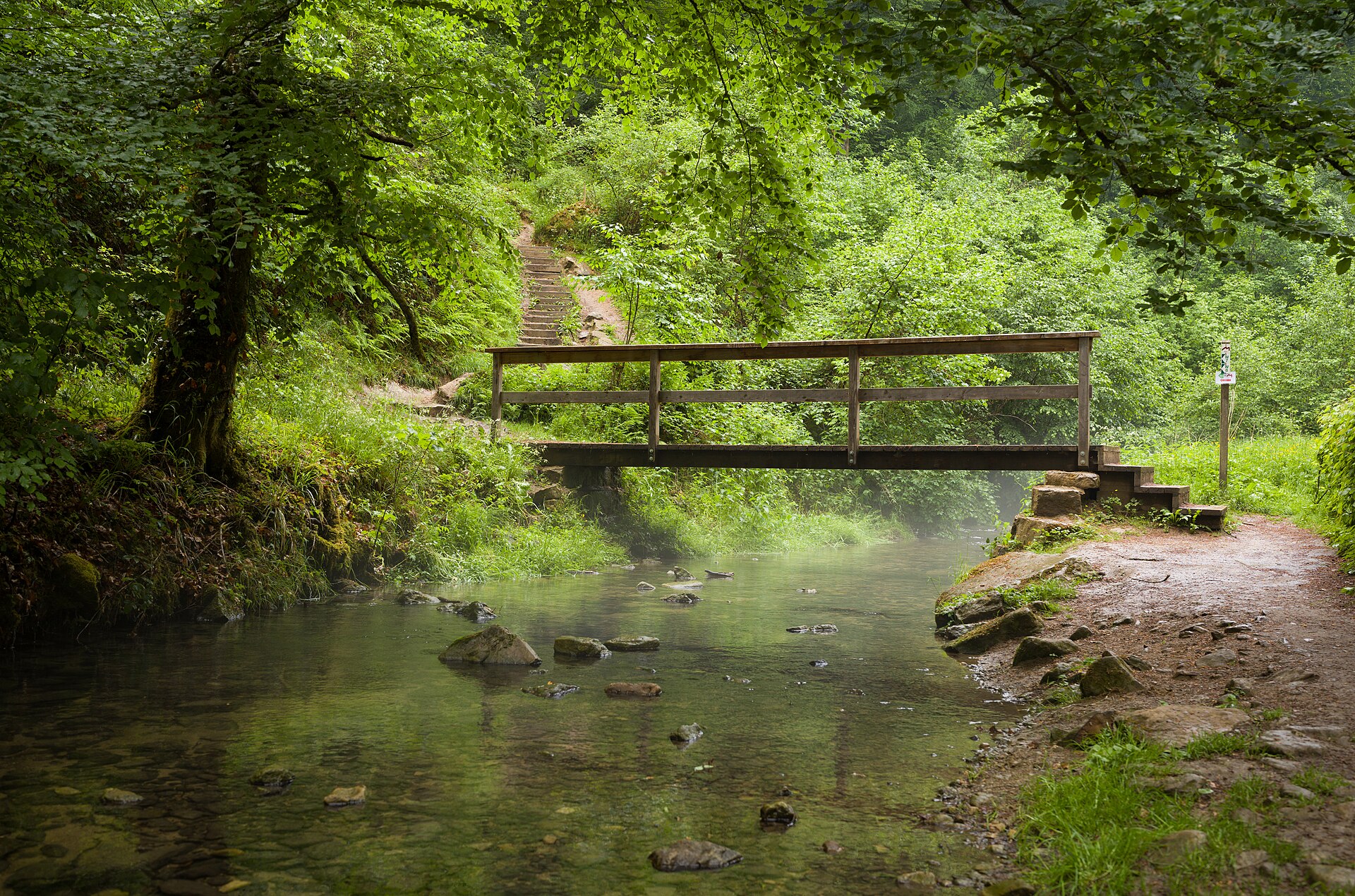 Mullerthal Trail Slow Wellness Retreat — Mullerthal Trail