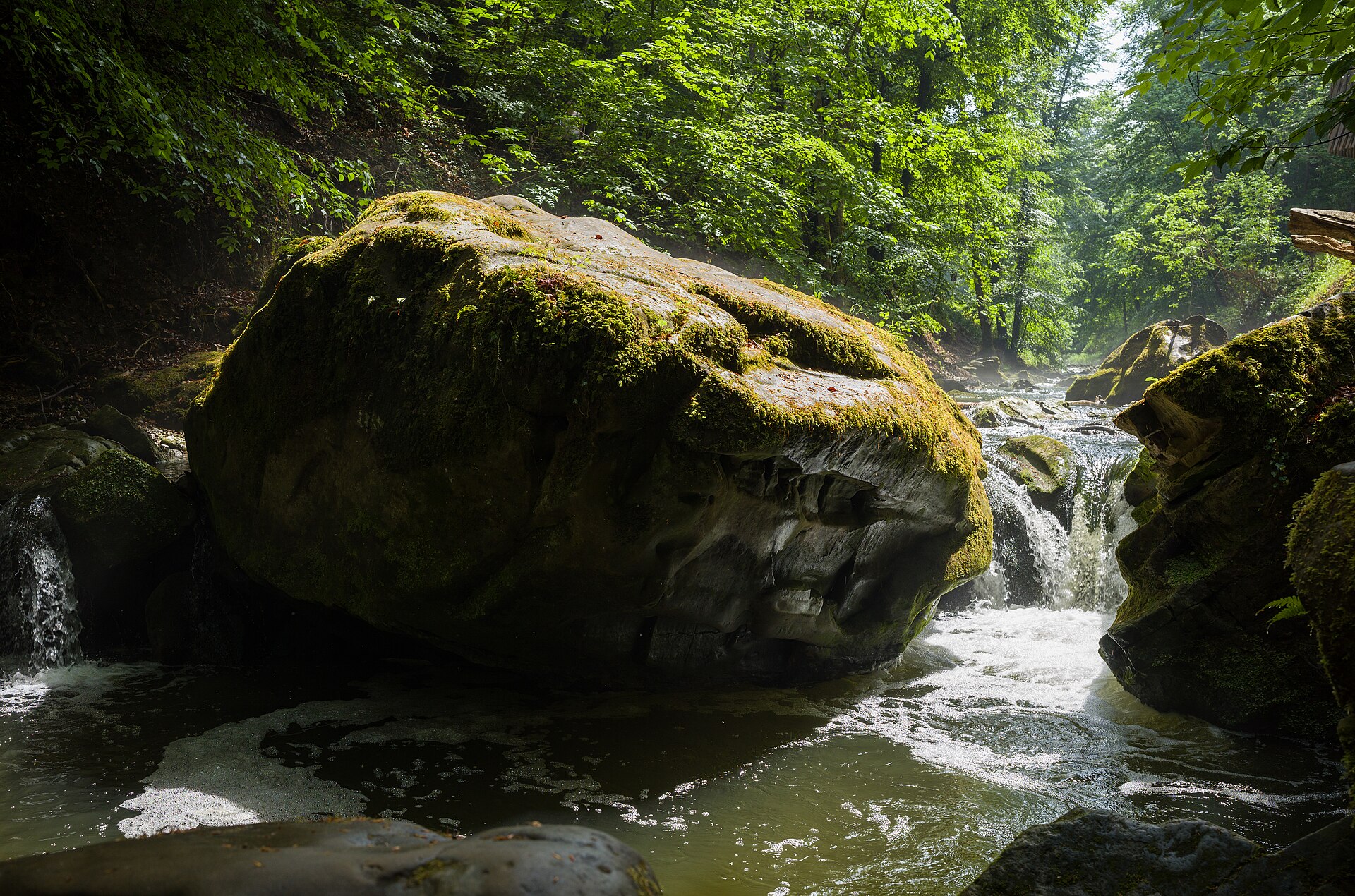 Mullerthal Trail Slow Wellness Retreat — photo 2