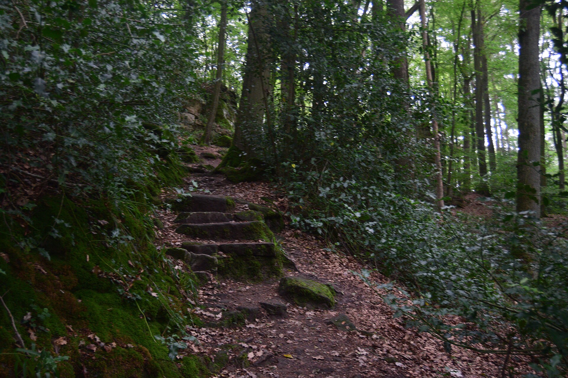 Mullerthal Trail Slow Wellness Retreat — photo 4