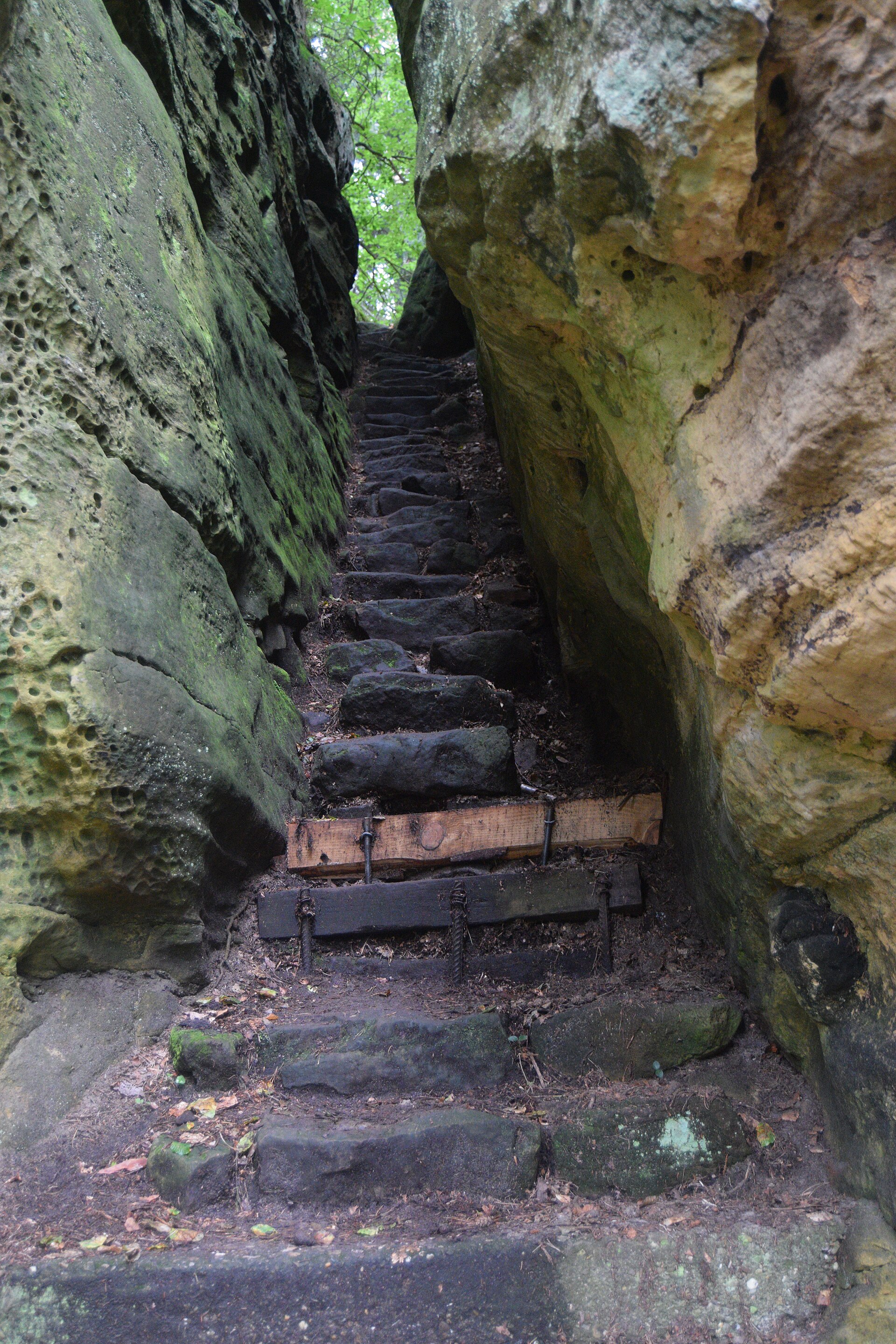 Mullerthal Trail Slow Wellness Retreat — photo 5