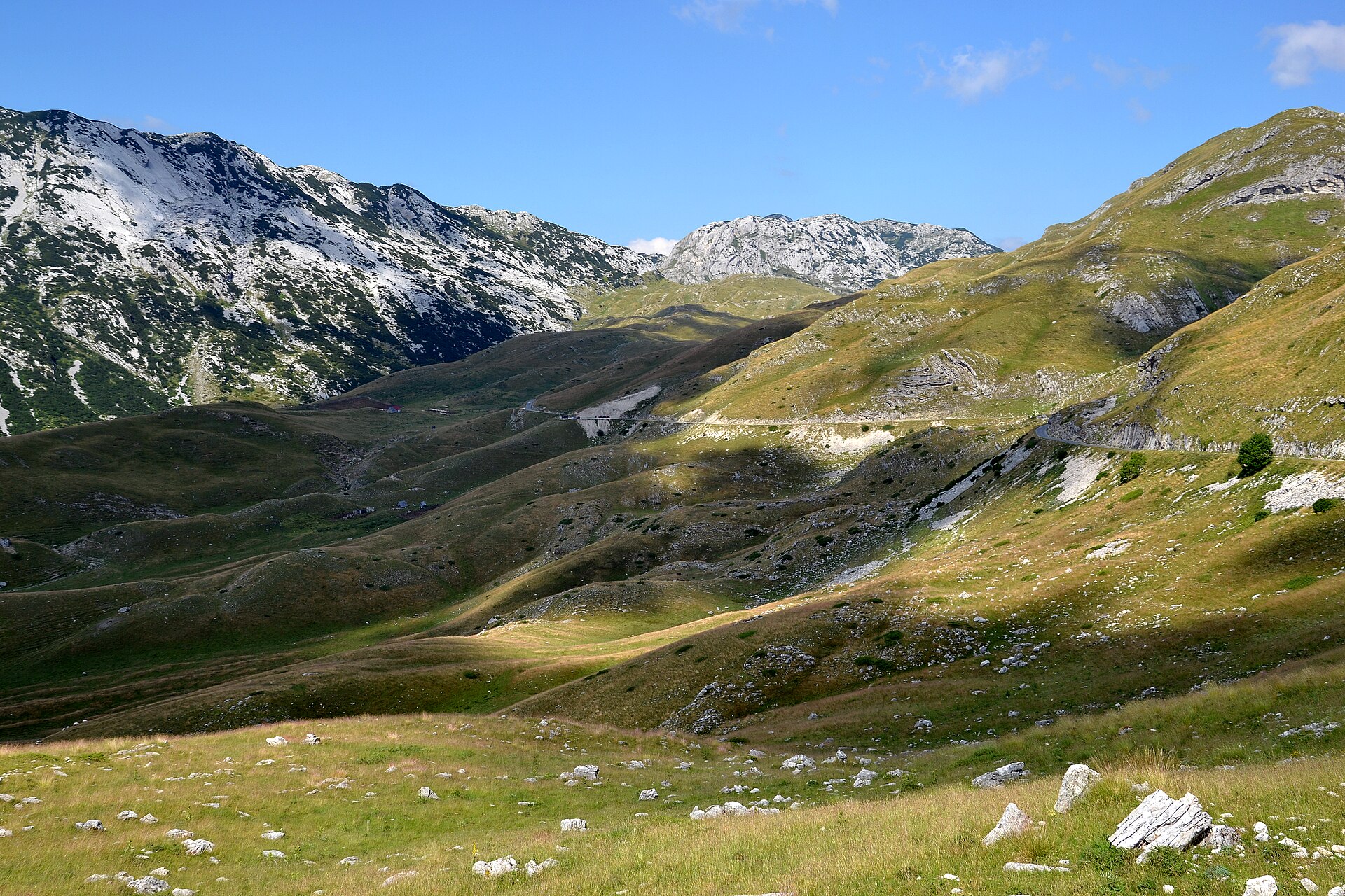 Surprise in Durmitor & Tara Canyon — photo 4