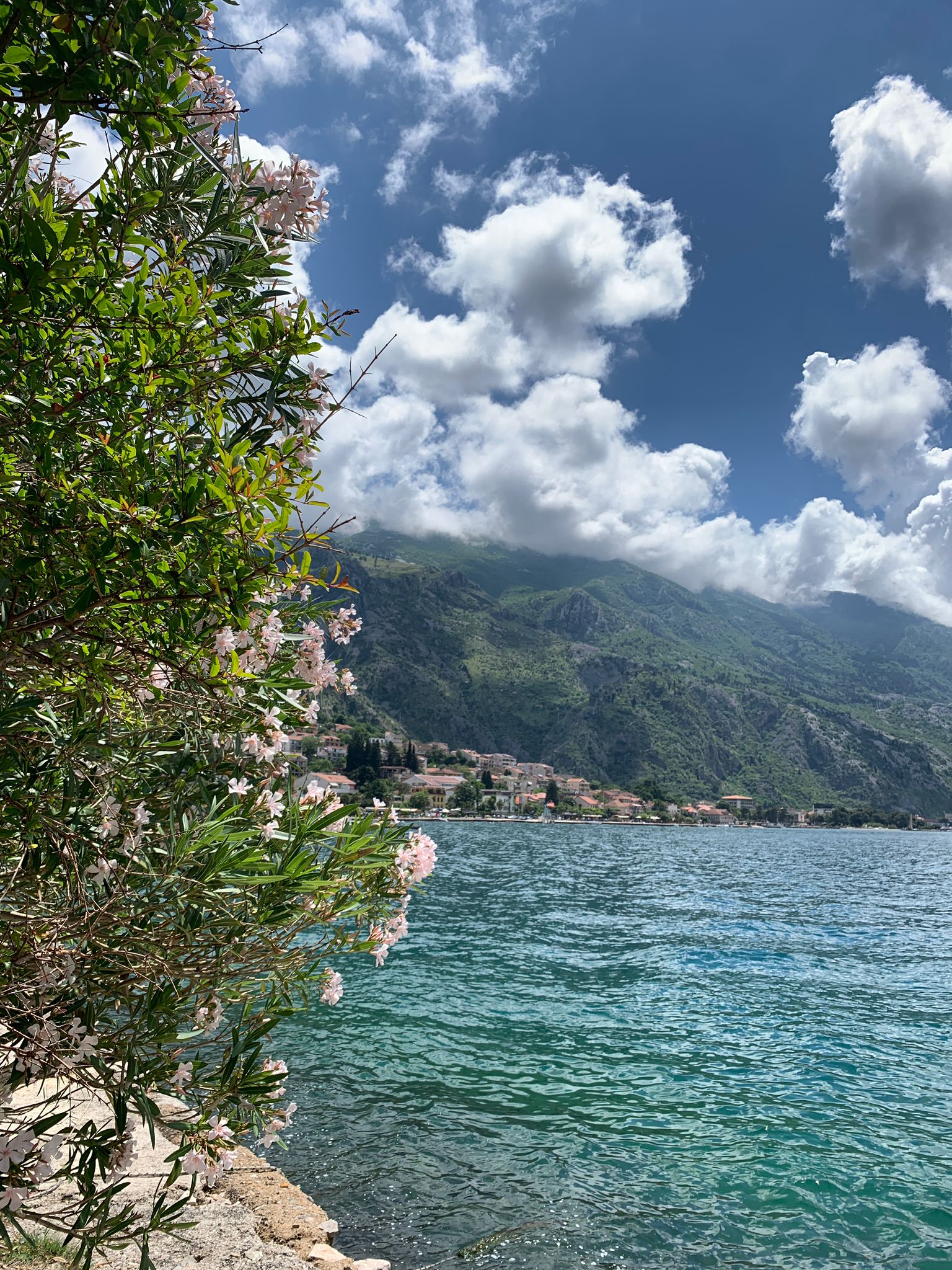 Awe at the Bay of Kotor's Fjord — photo 3