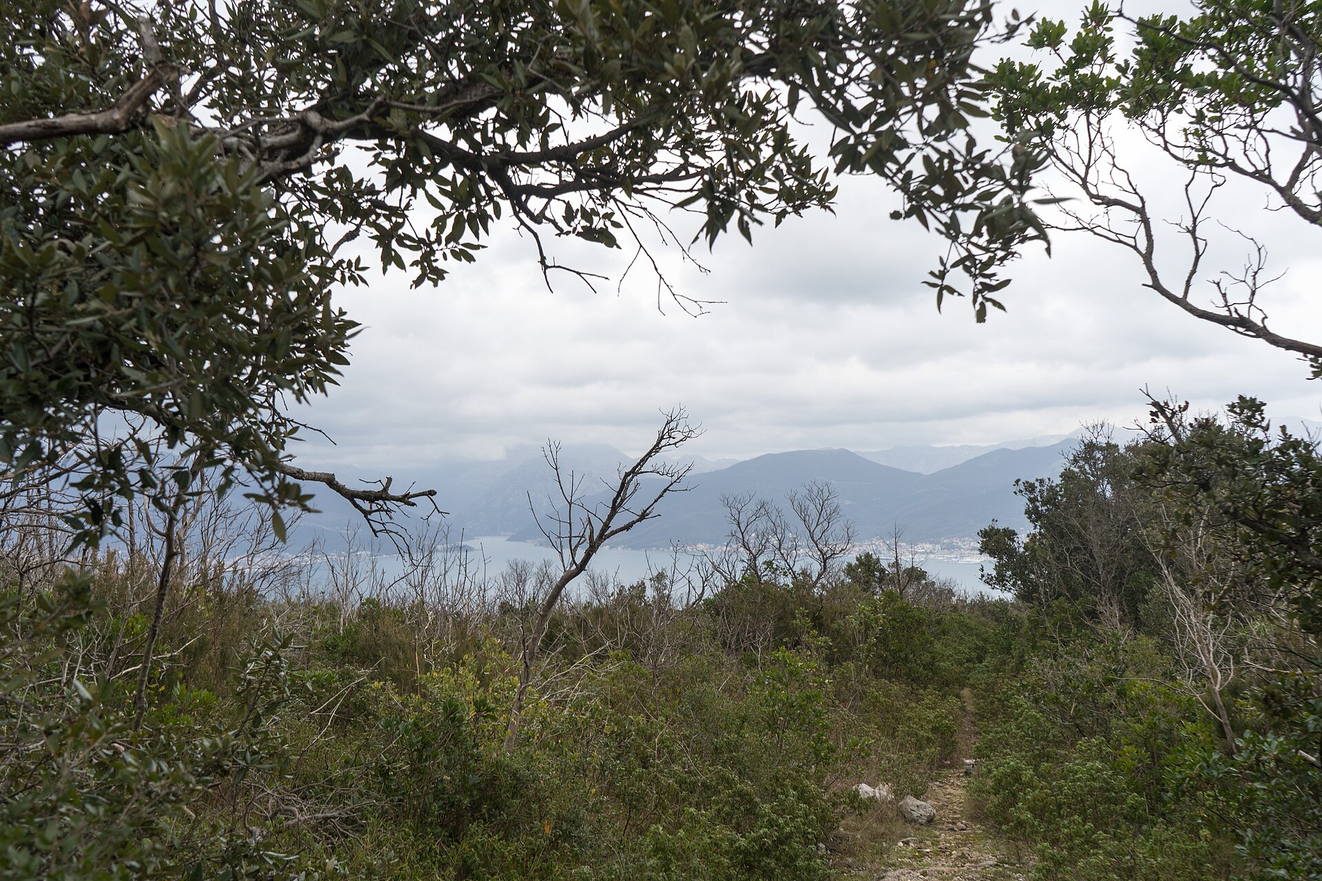 Serenity on the Lustica Peninsula — photo 2