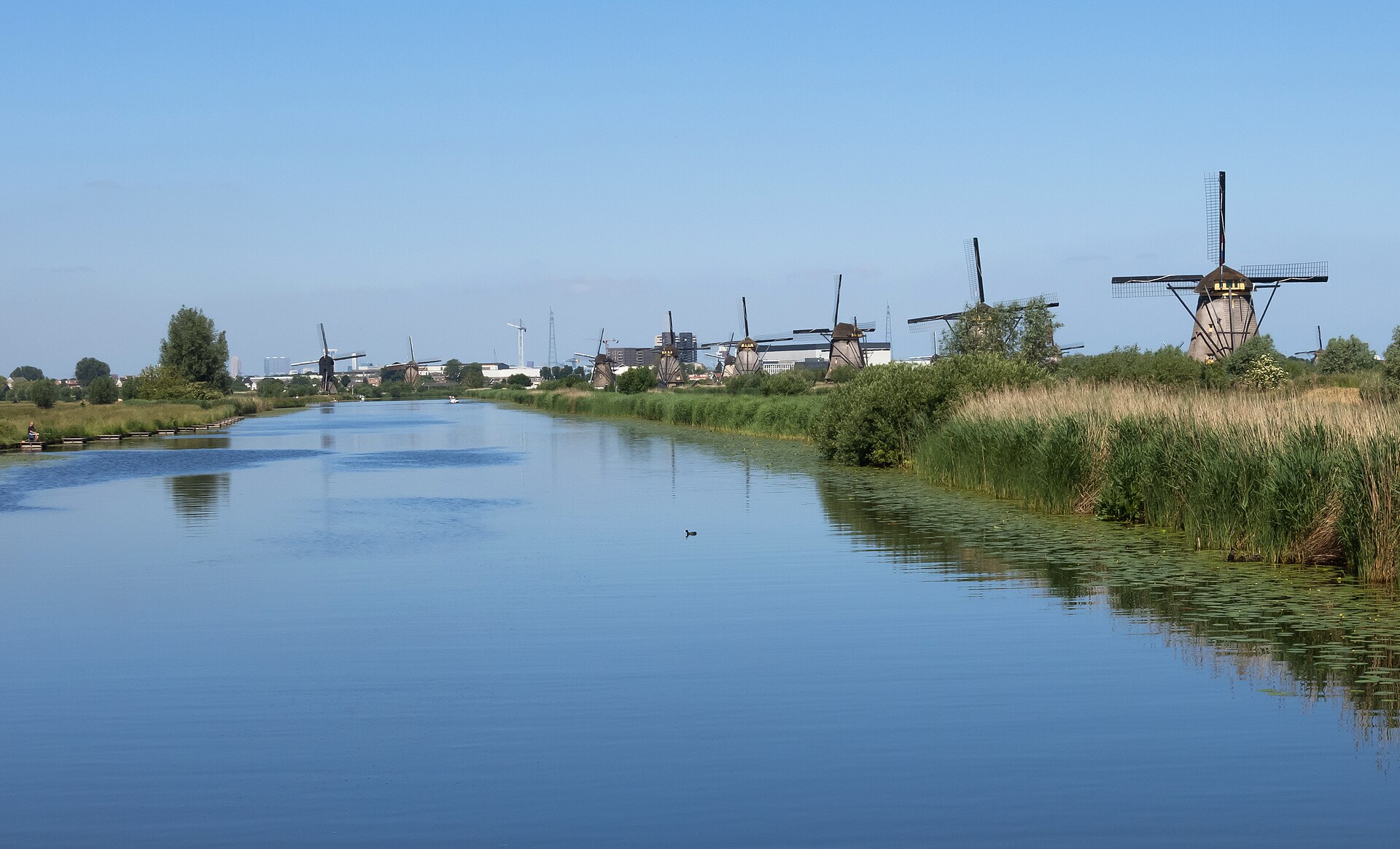 Kinderdijk Windmill Wonder — photo 2