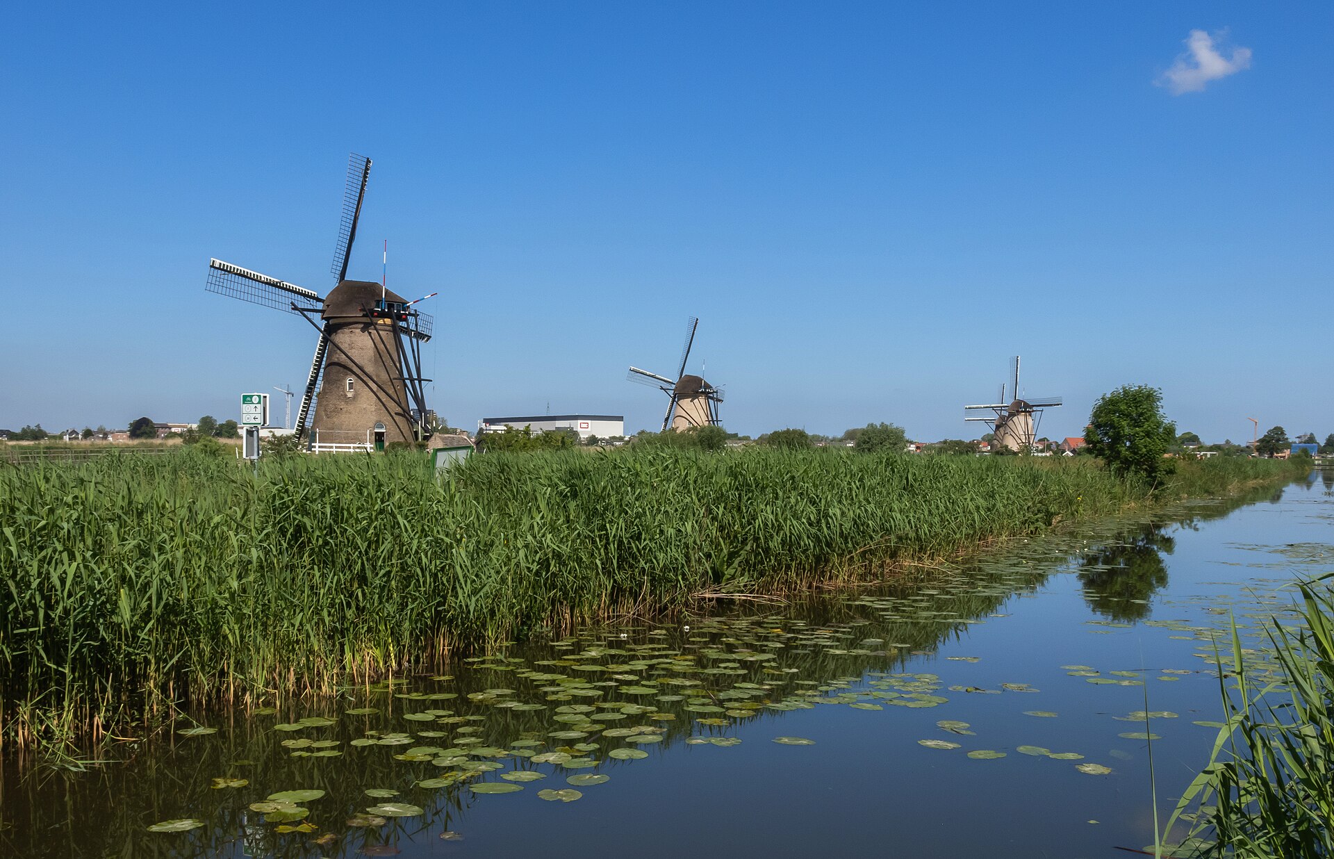 Kinderdijk Windmill Wonder — photo 5