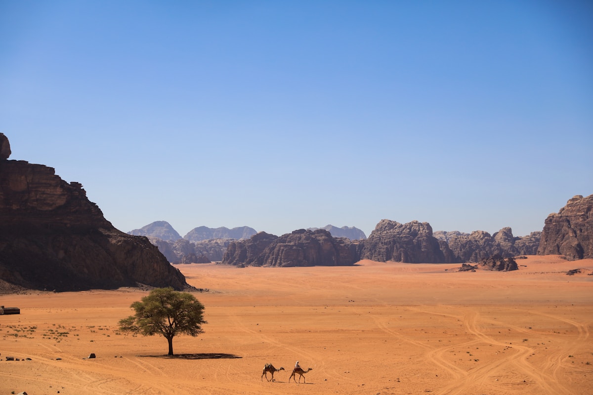 Petra and Wadi Rum, Jordan — photo 2