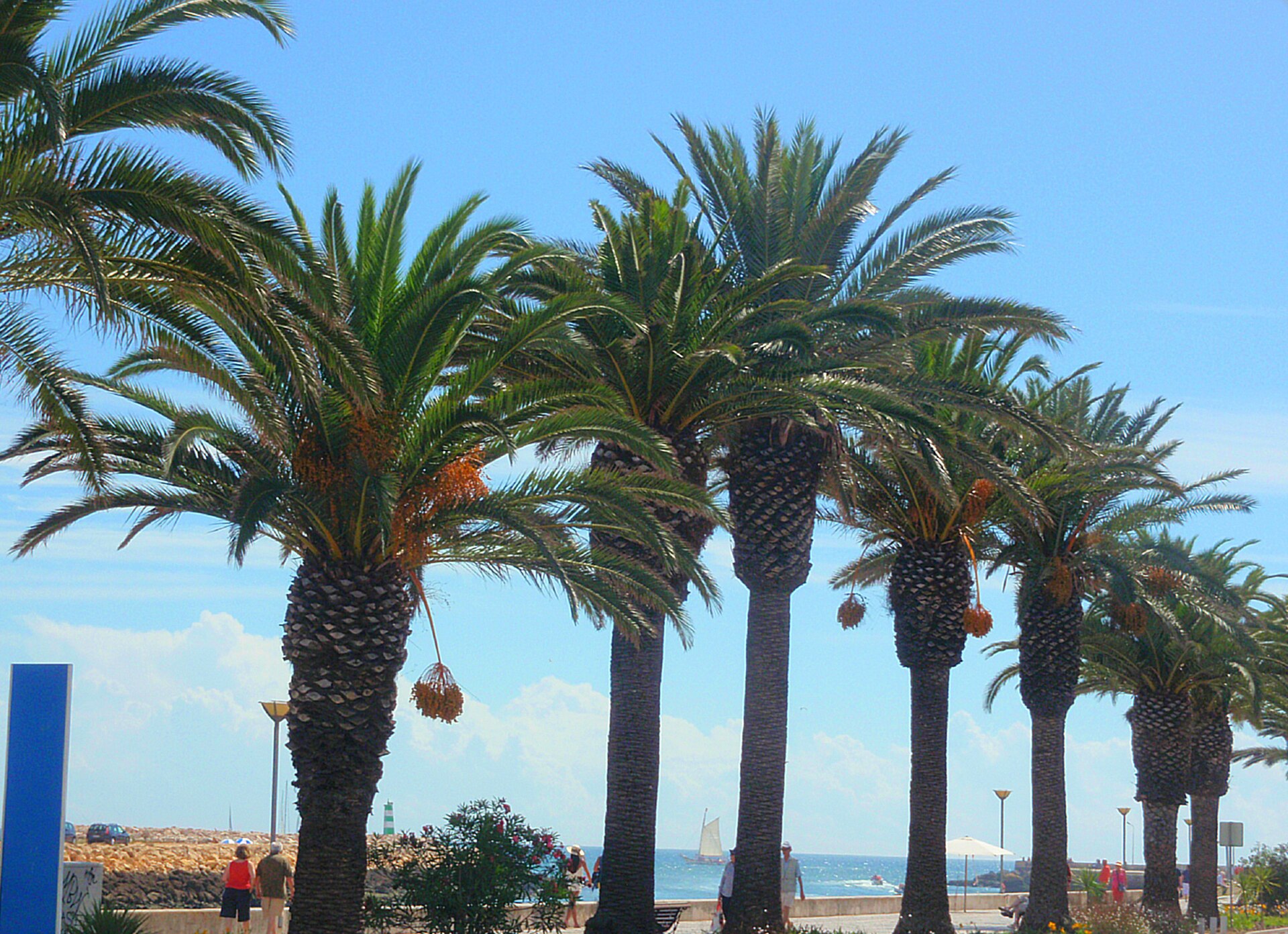Algarve Coast Road: Cliffs, Coves & Cape — photo 4