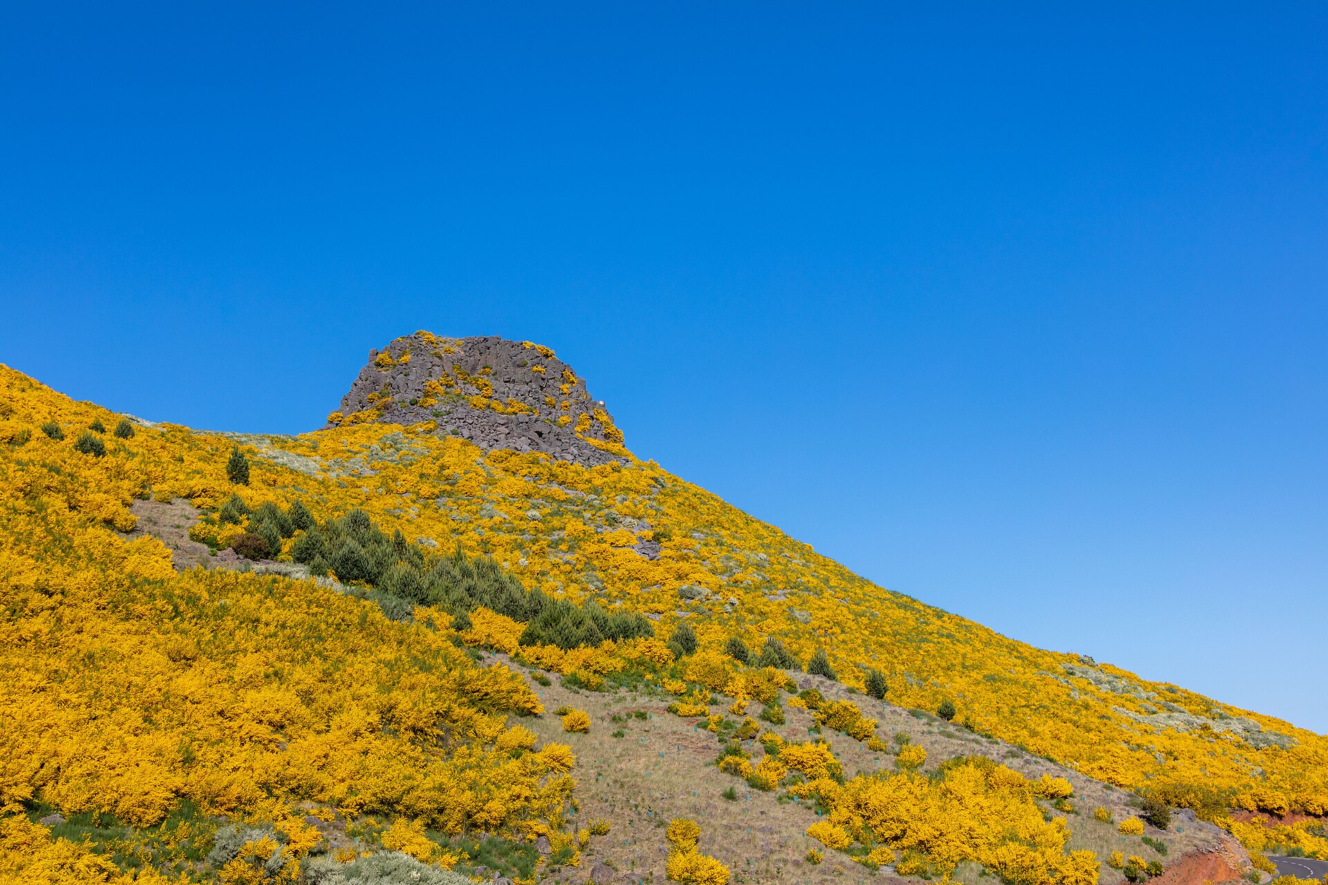 Madeira: Peaks, Laurisilva & Atlantic Cliffs — photo 5