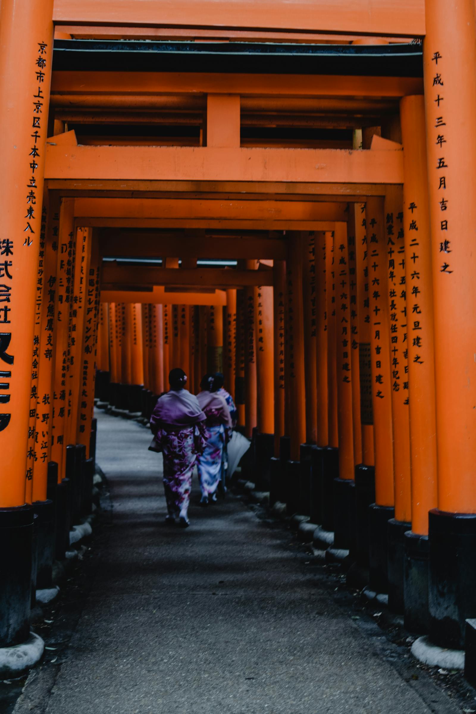 Sakura Hanami — Tokyo & Kyoto — photo 4