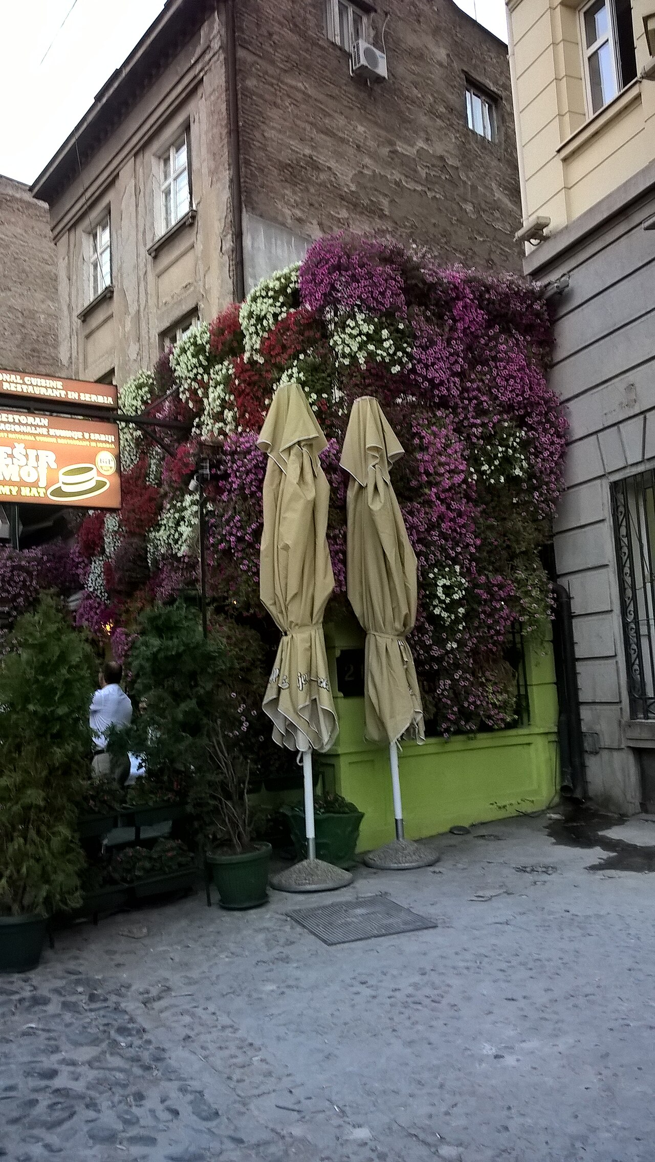 Belgrade Splavovi Nightlife Weekend — photo 4