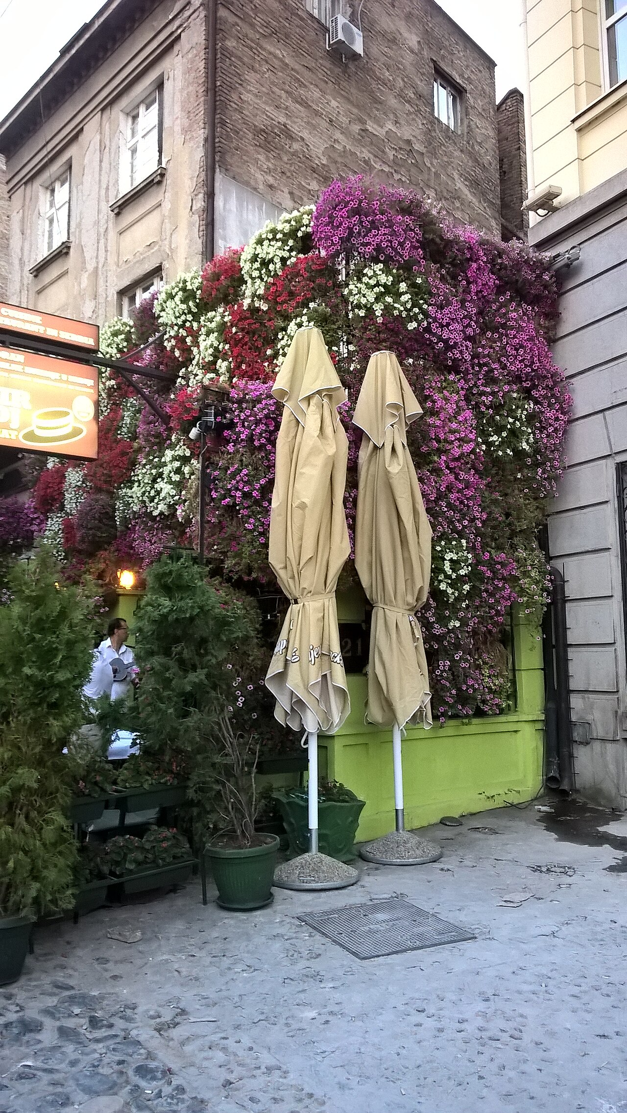 Belgrade Splavovi Nightlife Weekend — photo 5