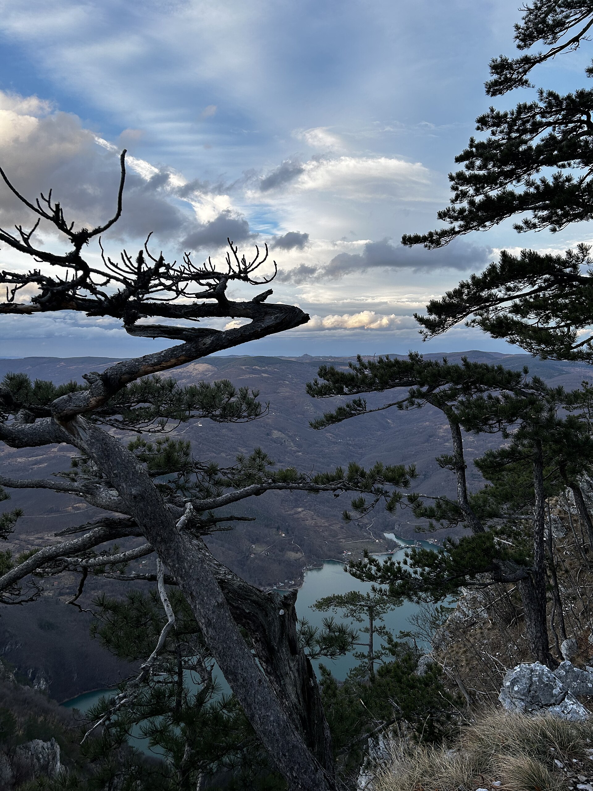 Tara National Park & Uvac Canyon — photo 4