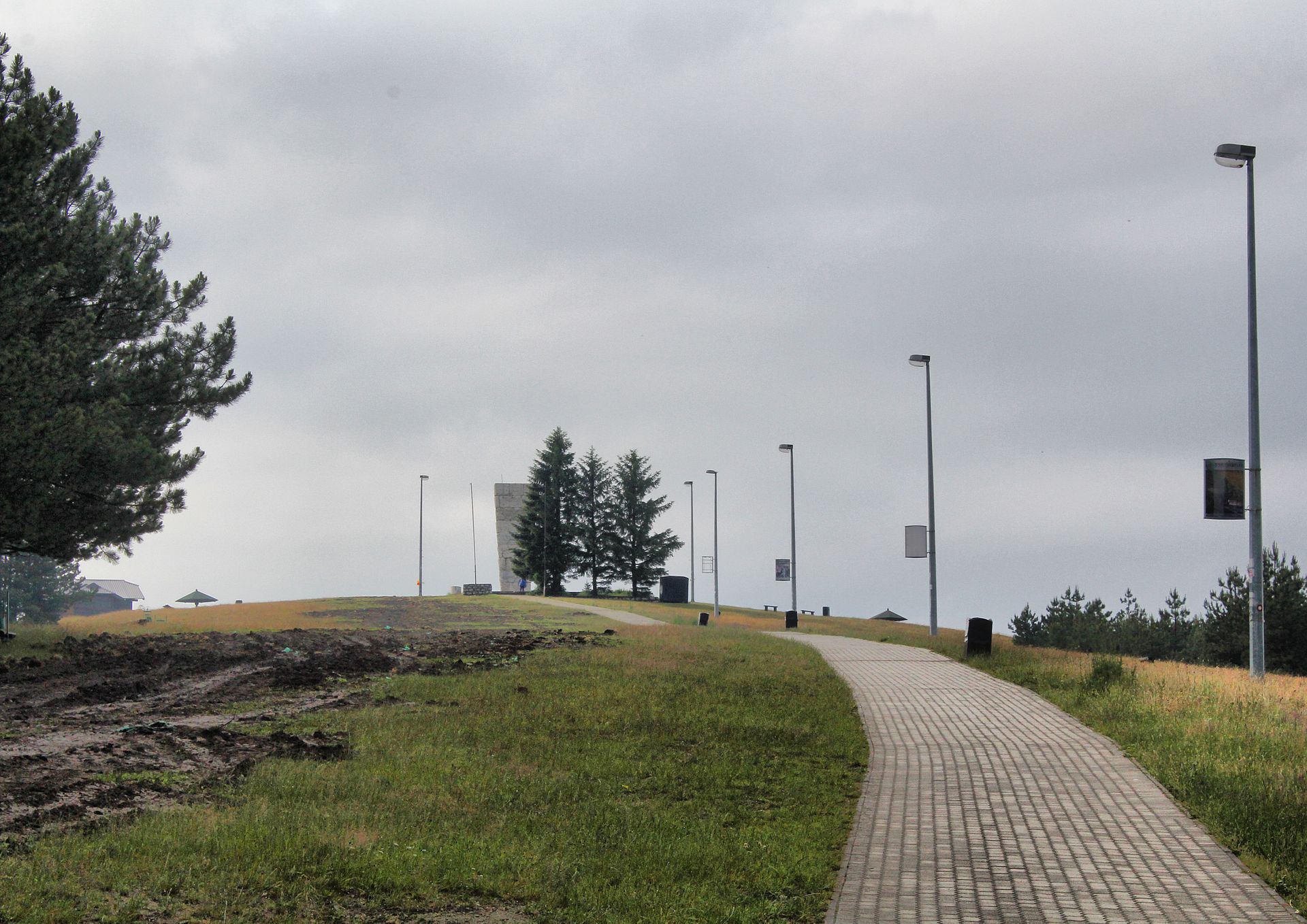 Zlatibor & Mokra Gora Open Road — photo 5
