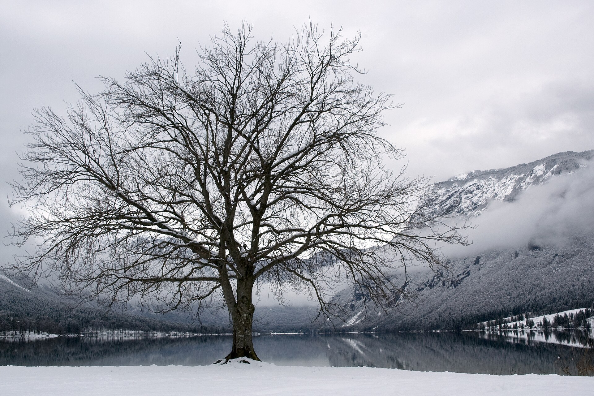 Lake Bohinj Slow Retreat — Lake Bohinj