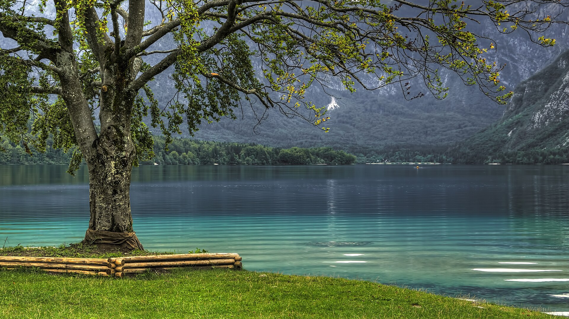 Lake Bohinj Slow Retreat — photo 2