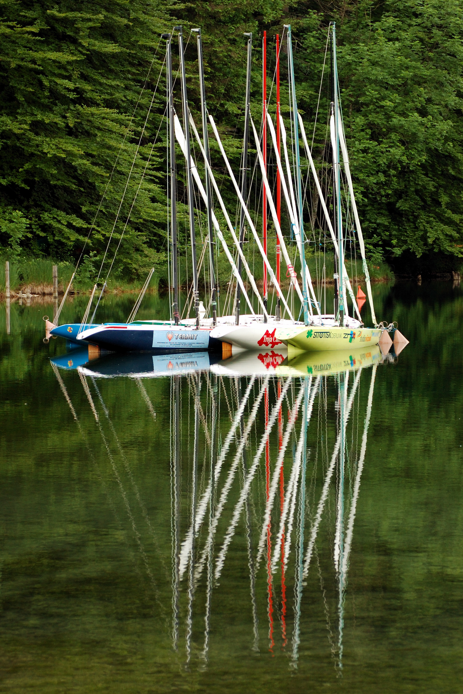 Lake Bohinj Slow Retreat — photo 5